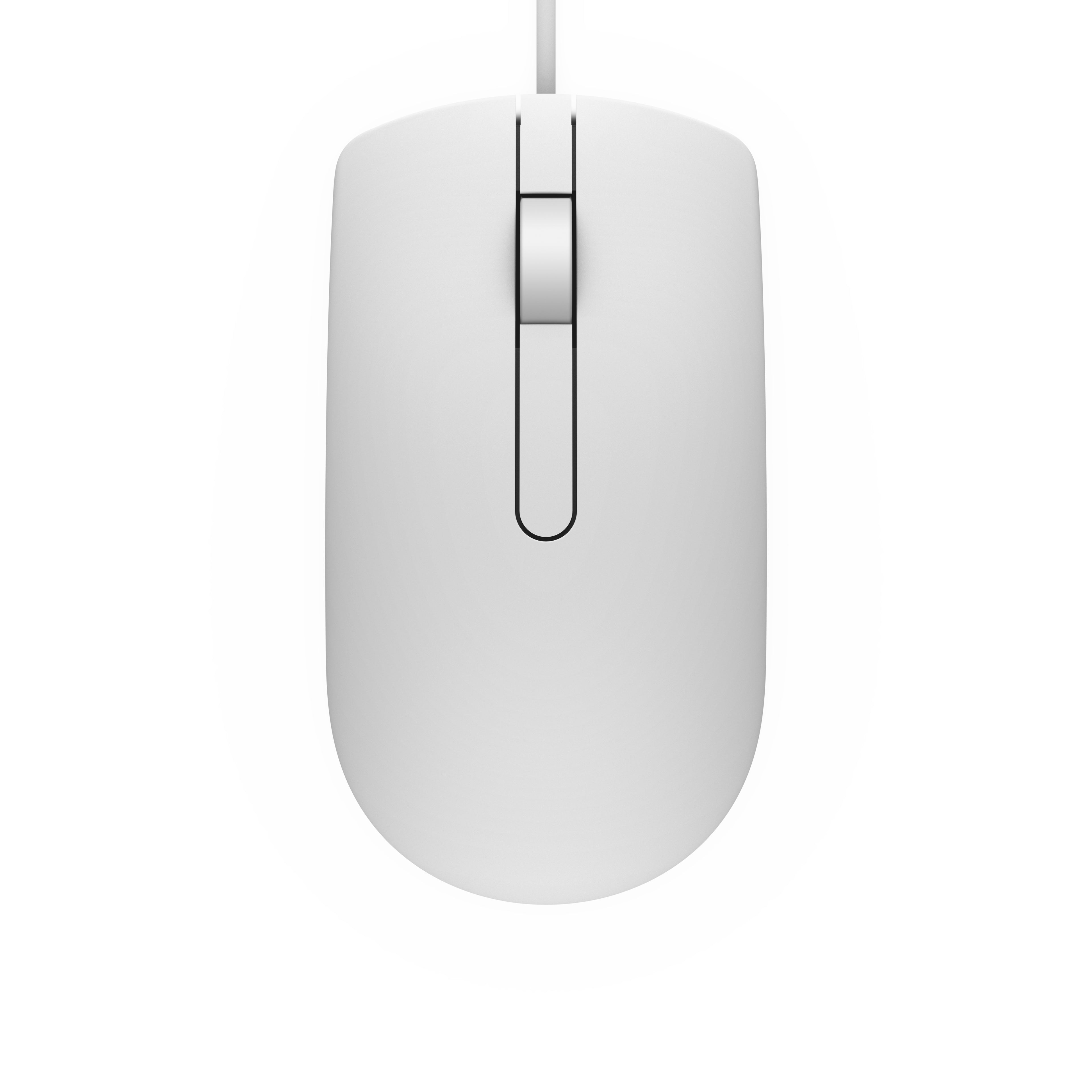 DELL Souris filaire - MS116 - blanche
