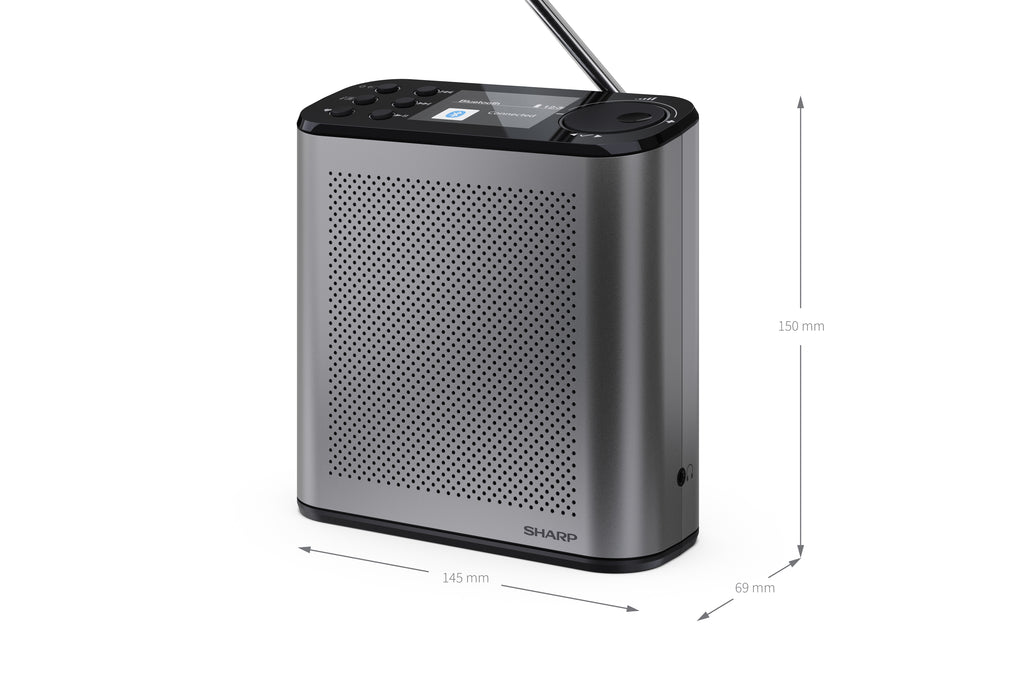 Radio Portable Numérique Osaka, DAB+ FM, 3W, Écran LCD, Gris