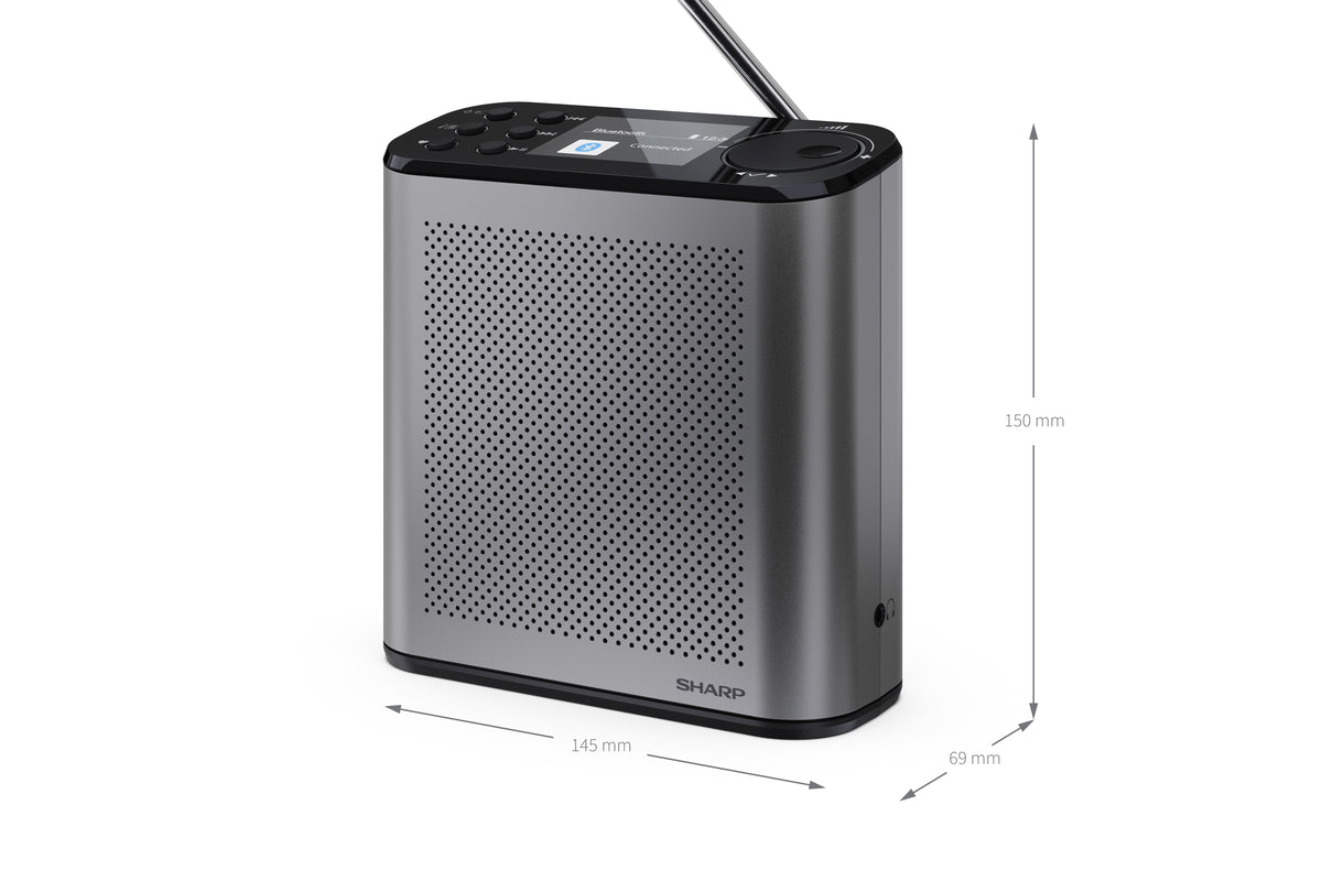 Radio Portable Numérique Osaka, DAB+ FM, 3W, Écran LCD, Gris