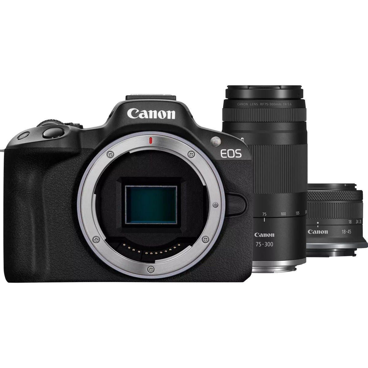 Canon EOS R50 MILC 24,2 MP CMOS 6000 x 4000 pixels Noir