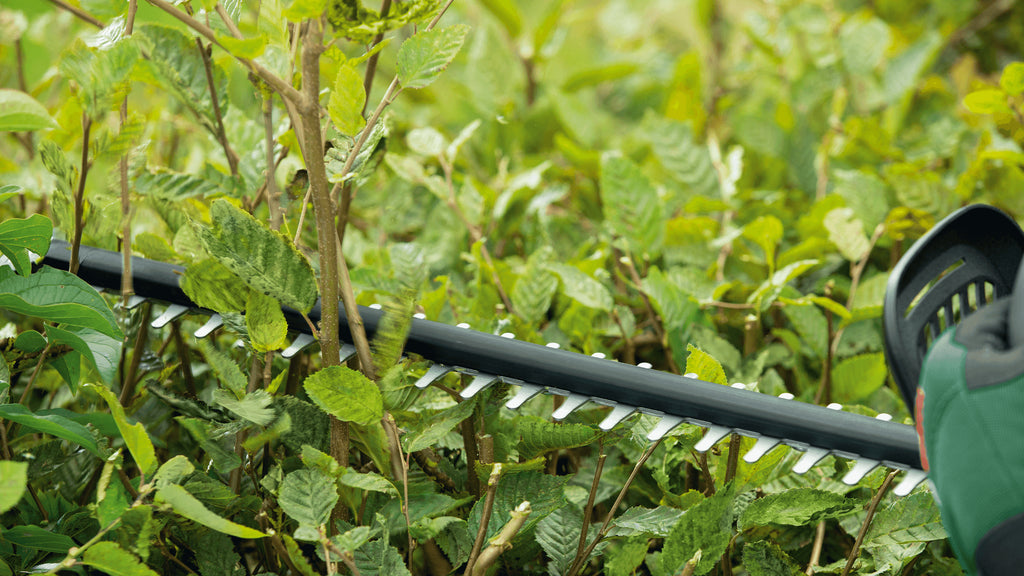Bosch Bosch Universal HedgeCut 18V-50 Lame unique 2,6 kg