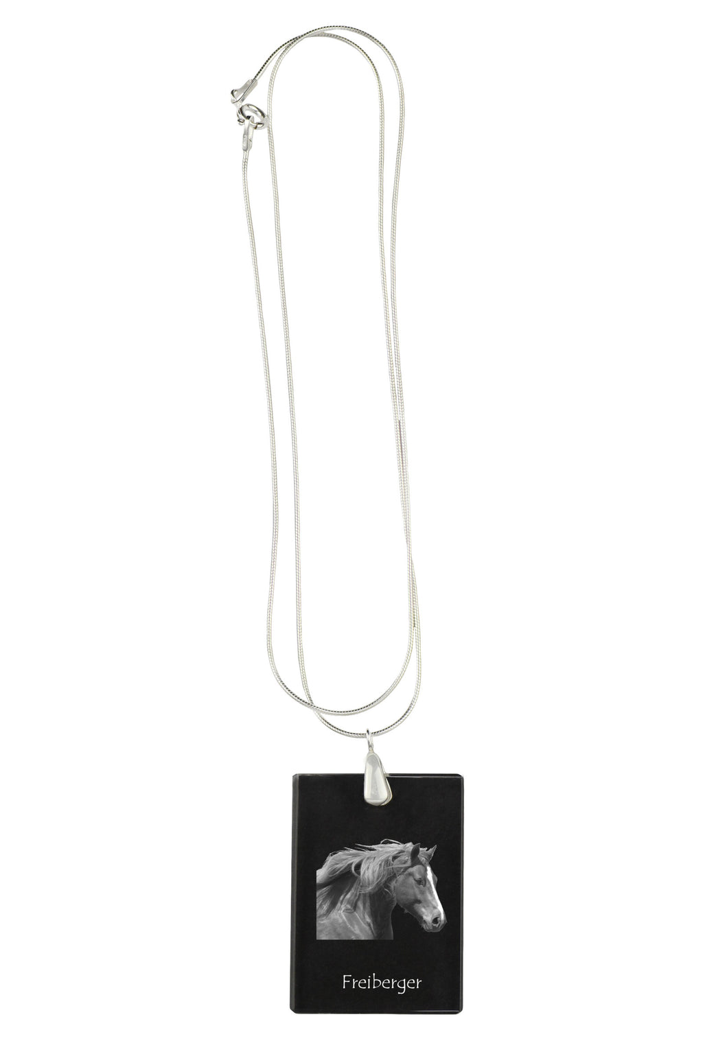 Freiberger - Crystal pendant with horse, silver necklace with photo, personalised pendant by Art-Dog brand