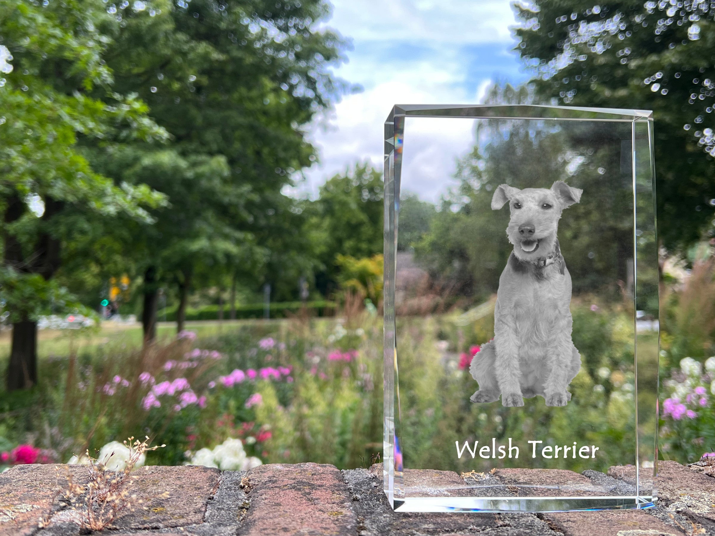 Welsh Terrier, Welshie, Daeargi Cymreig - crystal with a picture of a dog, photo in glass, modern exhibition of Art-Dog brand photo