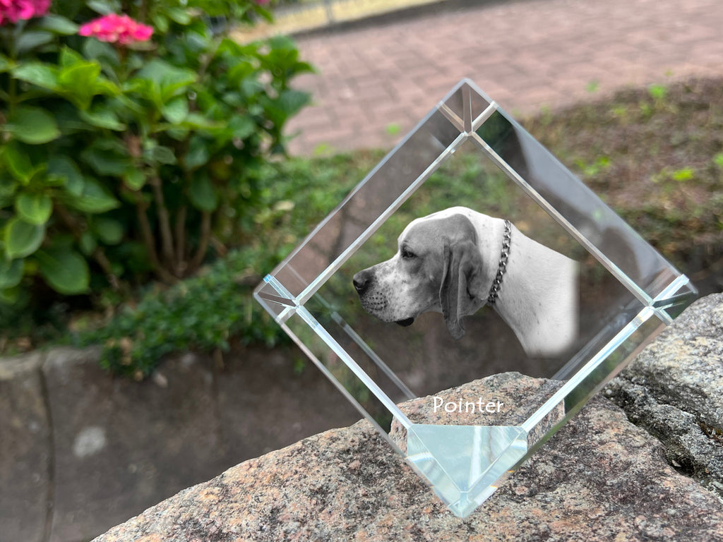 English Pointer I - crystal cube with a photo, photo of a horse in crystal, cubic paperweight from Art-Dog brand