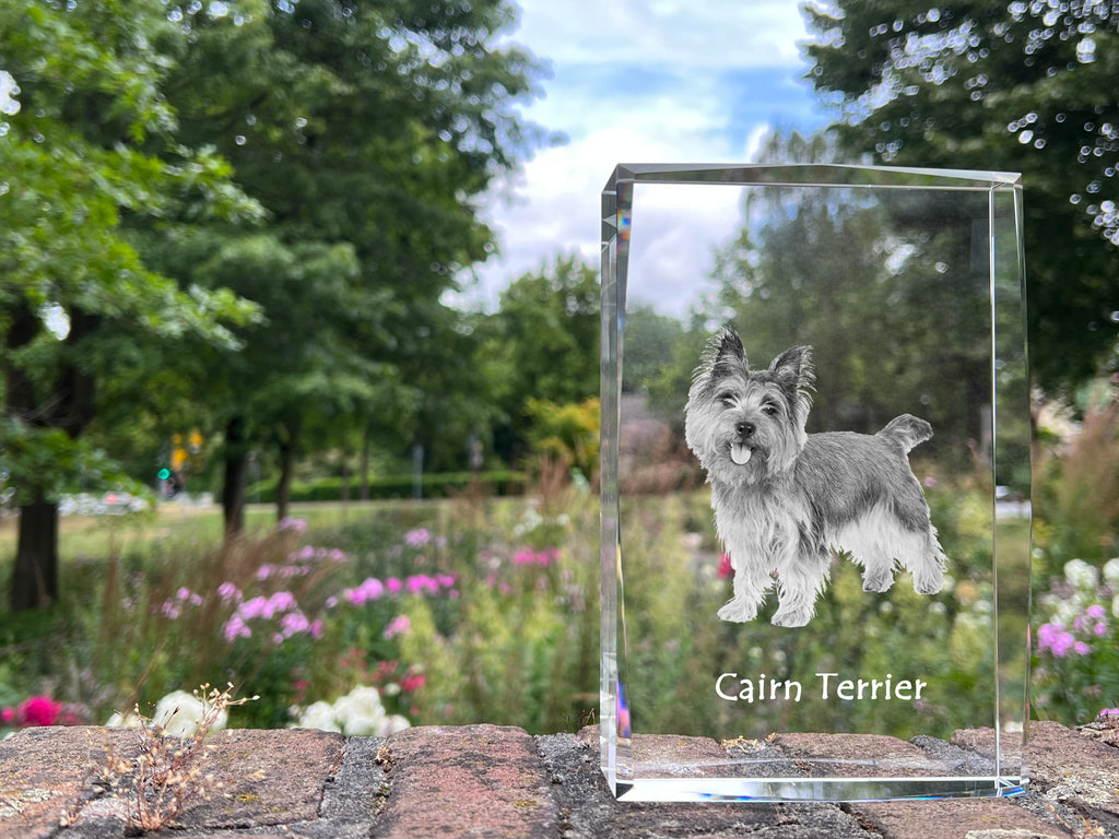Cairn Terrier - crystal with a picture of a dog, photo in glass, modern exhibition of Art-Dog brand photo