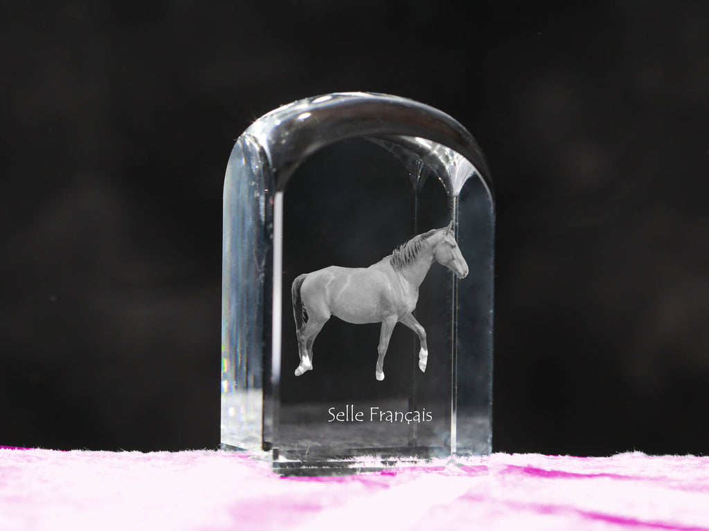 Selle Francais - crystal cube with a photo, photo of a horse in crystal, cubic paperweight from Art-Dog brand
