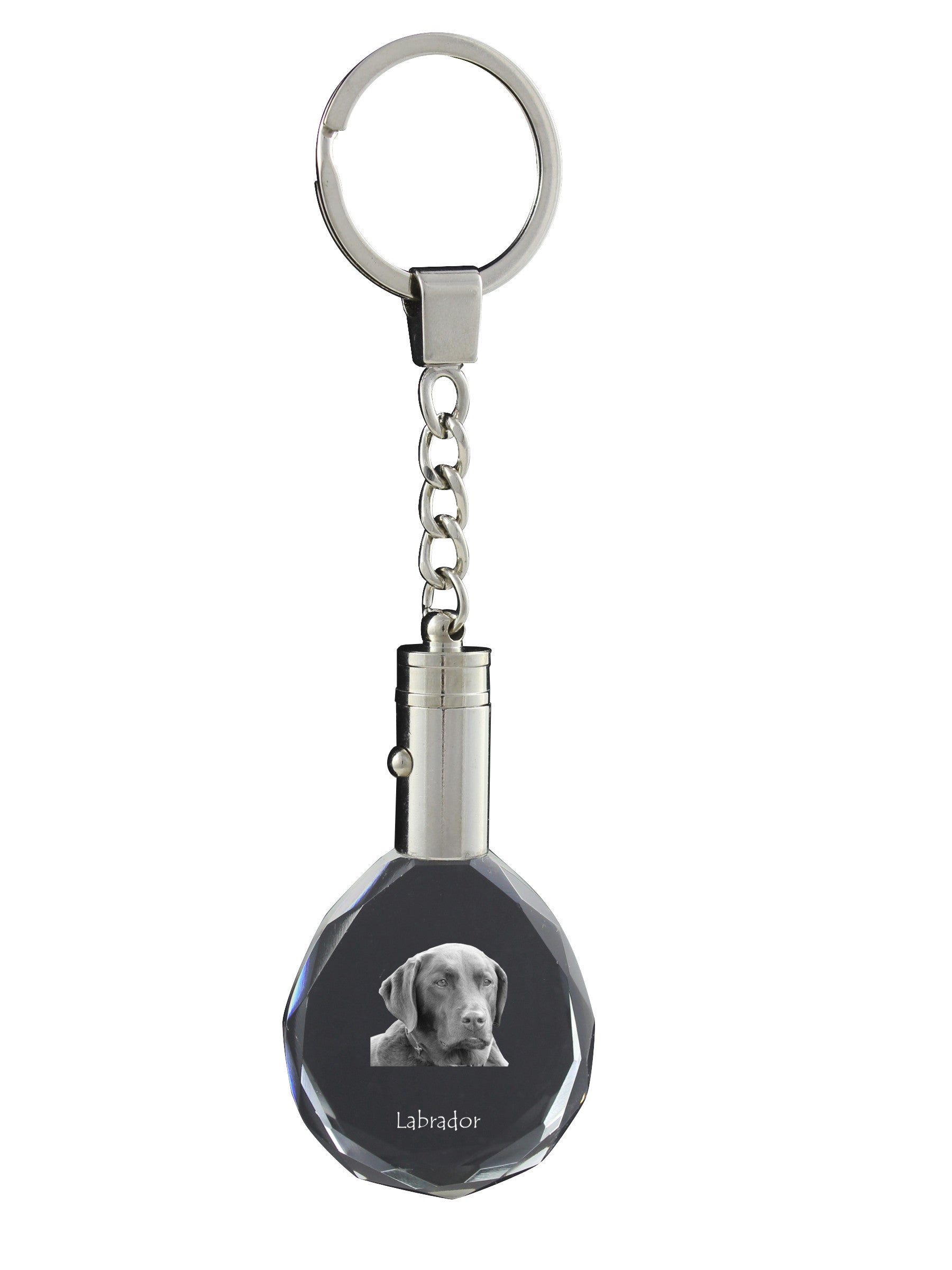Labrador Retriever - pendant with a photo of a dog, crystal key ring in a gift box, a unique gift by Art-Dog