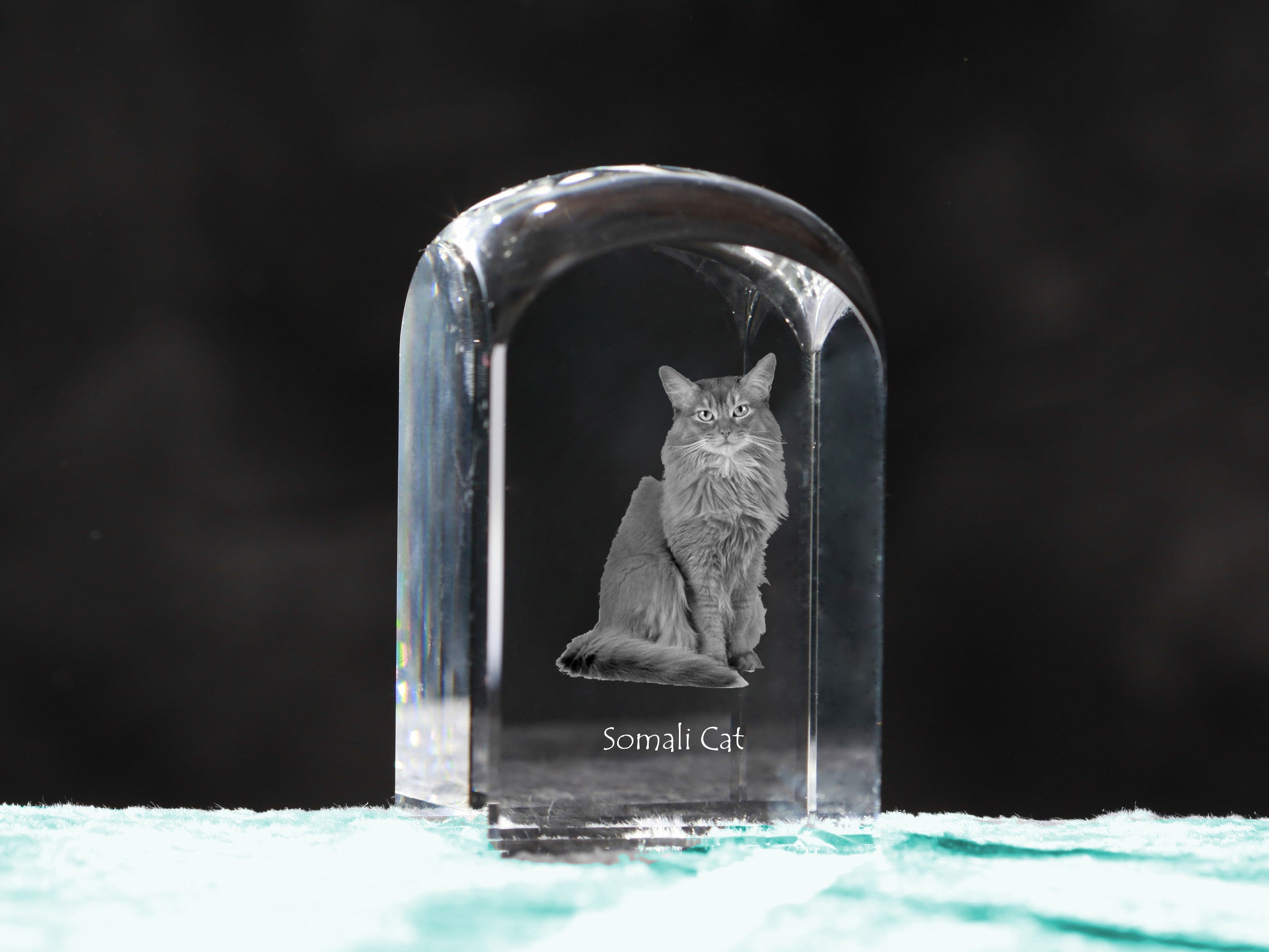 Somali - crystal cube with a photo, photo of a cat in crystal, cubic paperweight from Art-Dog brand