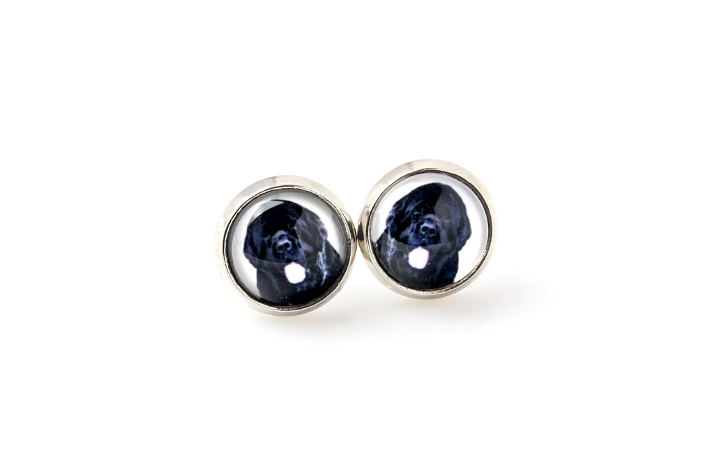 Newfoundland, Newfs, Newfies - earrings in a box, your photo, handmade jewelry, a product of the Art-Dog brand