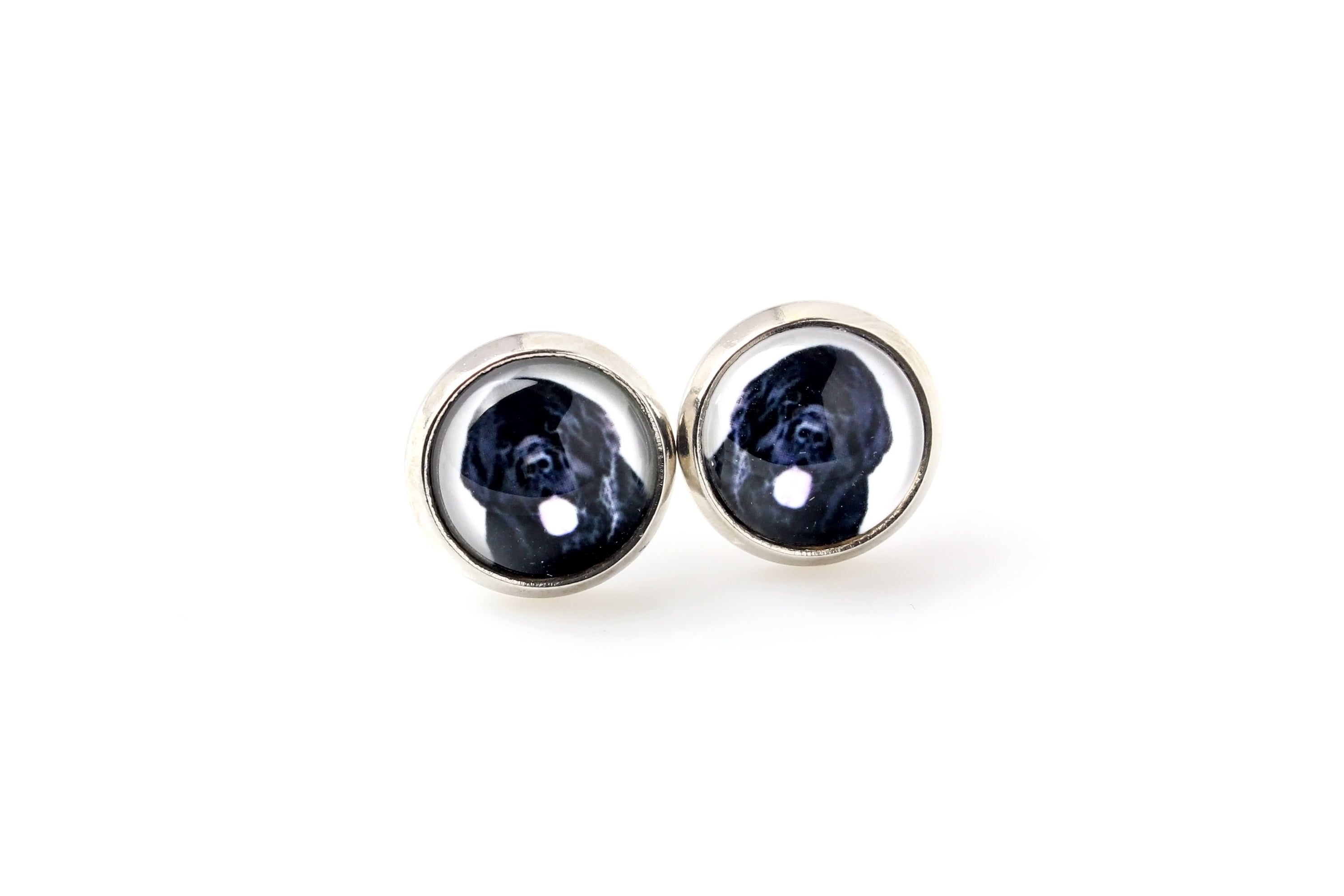Newfoundland, Newfs, Newfies - earrings in a box, your photo, handmade jewelry, a product of the Art-Dog brand