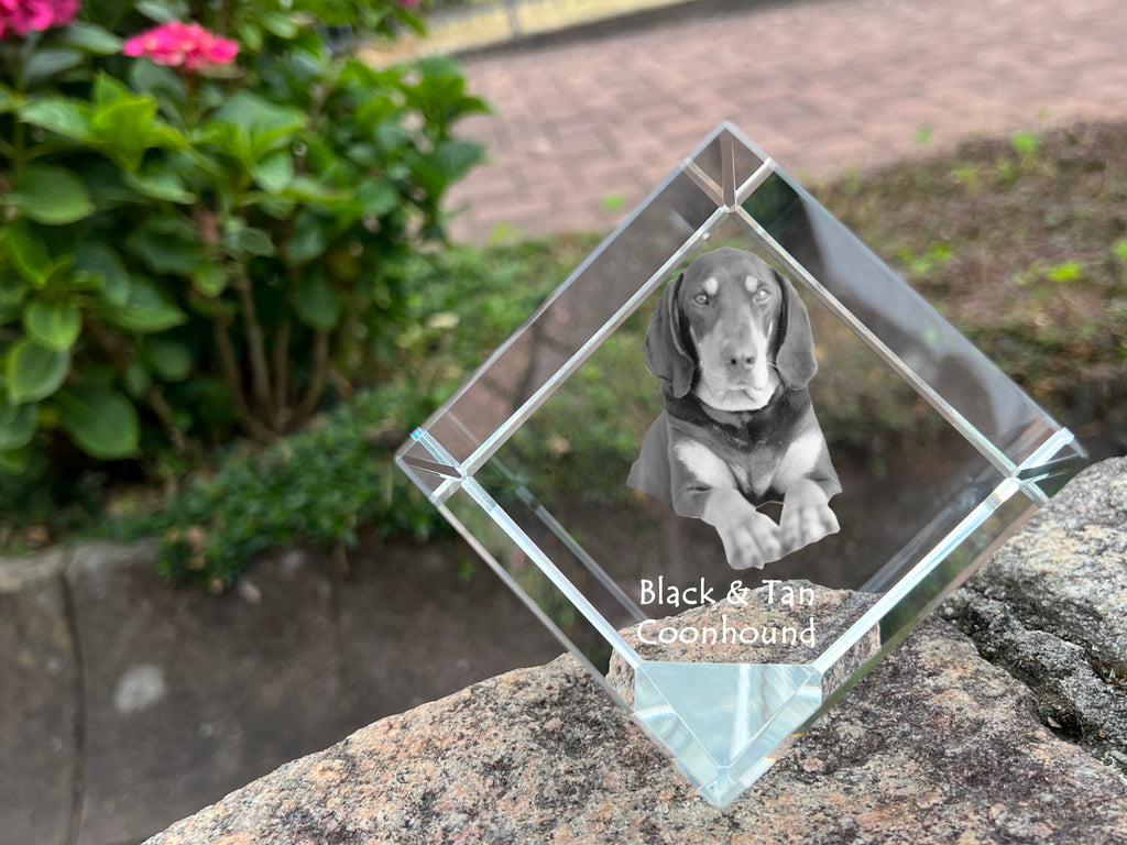 Black and Tan Coonhound I - crystal cube with a photo, photo of a horse in crystal, cubic paperweight from Art-Dog brand