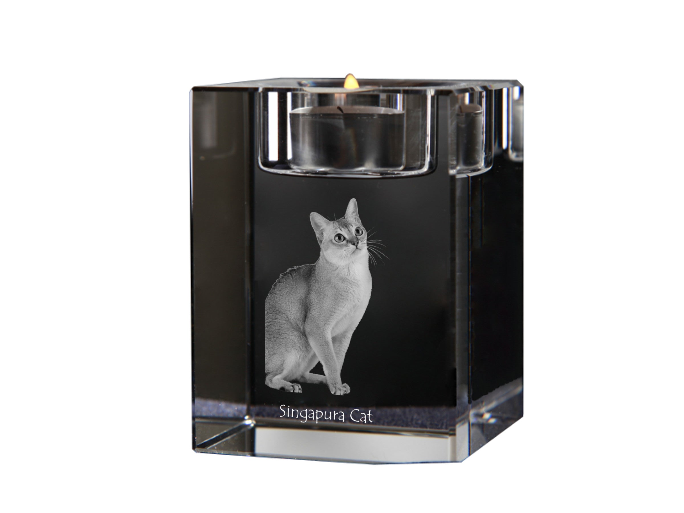 Singapura - Candle holder with cat photo, crystal tealight holder, personalised gift by Art-Dog brand
