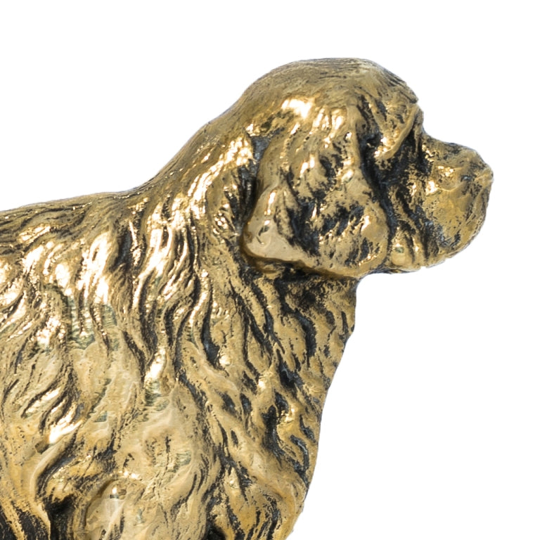 Clumber Spaniel - address plaque with a dog, brass nameplate, personalized door sign with the brand name Art-Dog
