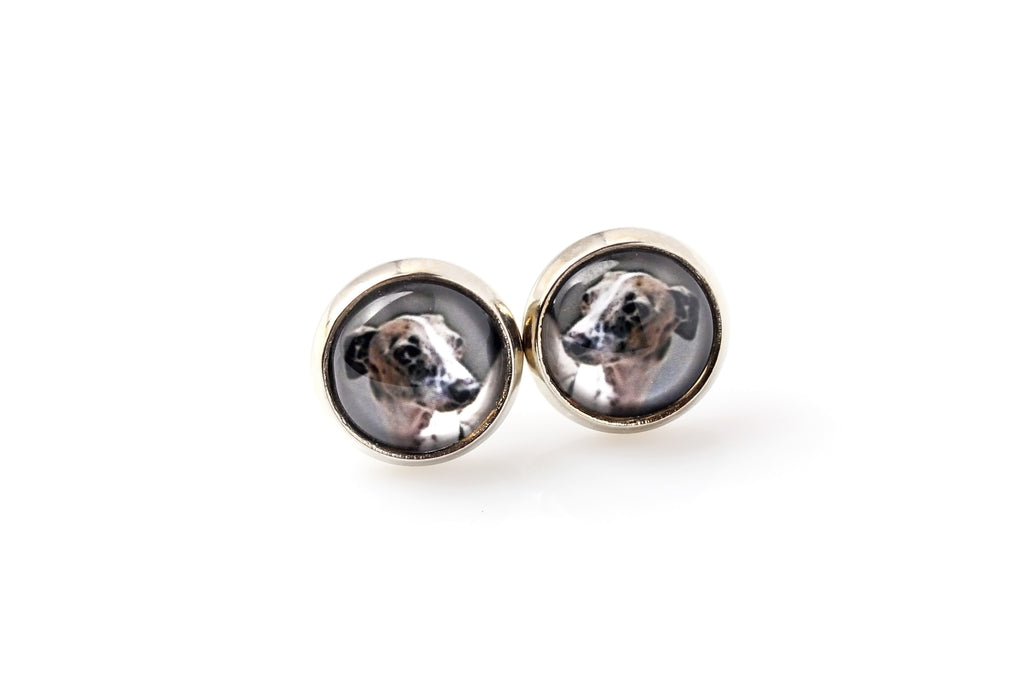 Italian Greyhound, Italian Sighthound - earrings in a box, your photo, handmade jewelry, a product of the Art-Dog brand