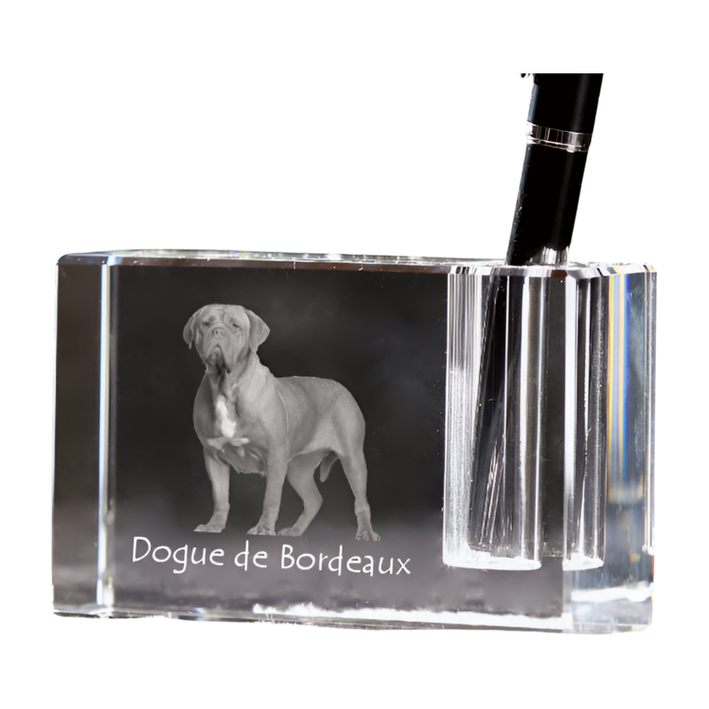 Dogue de Bordeaux, French Mastiff, Bordeauxdog - Pen stand, crystal organiser with dog photo, unique desk decoration by Art-Dog brand