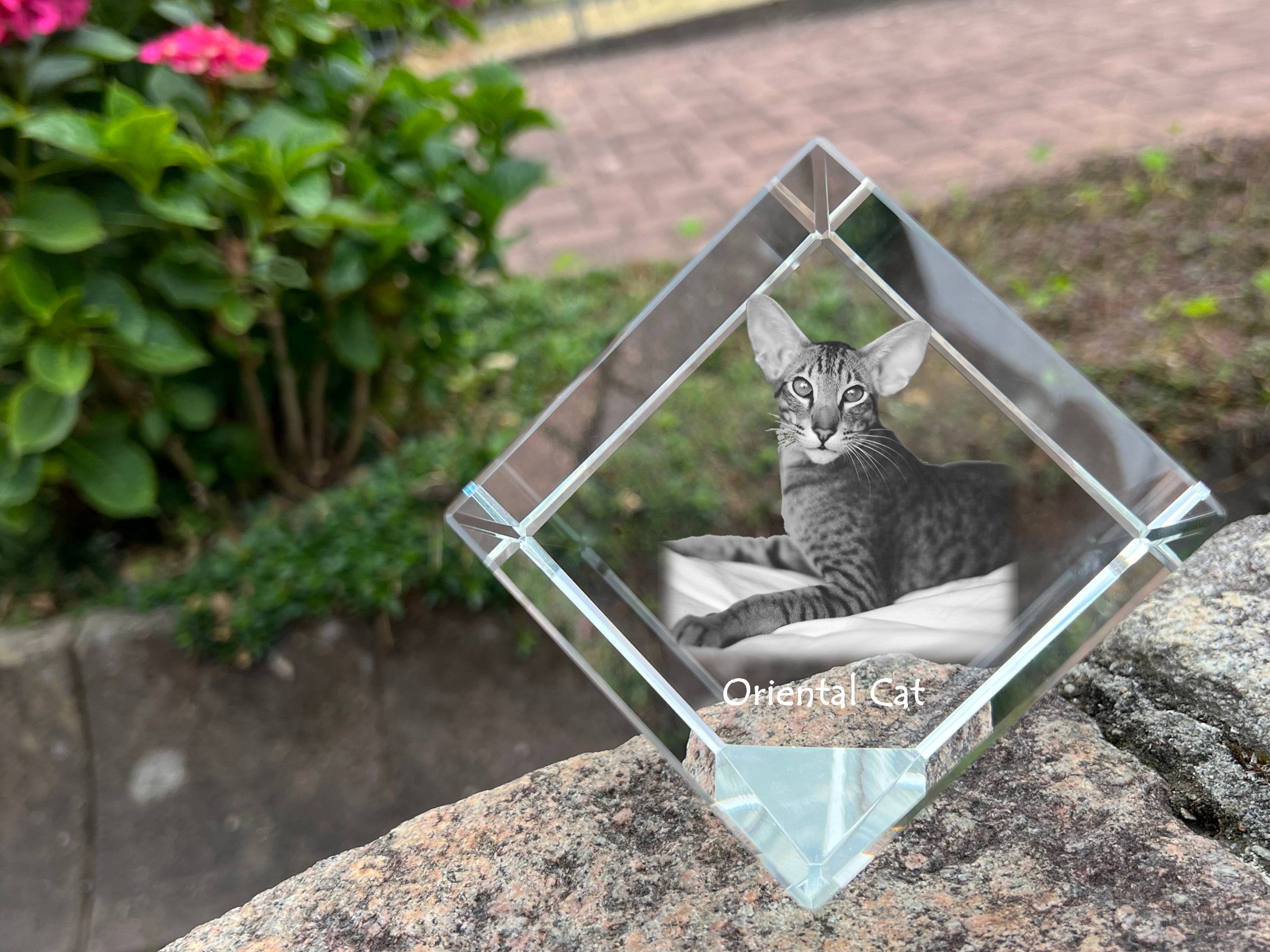 Oriental - crystal cube with a picture of a cat, crystal with a picture of a horse, cubic paperweight by Art-Dog brand