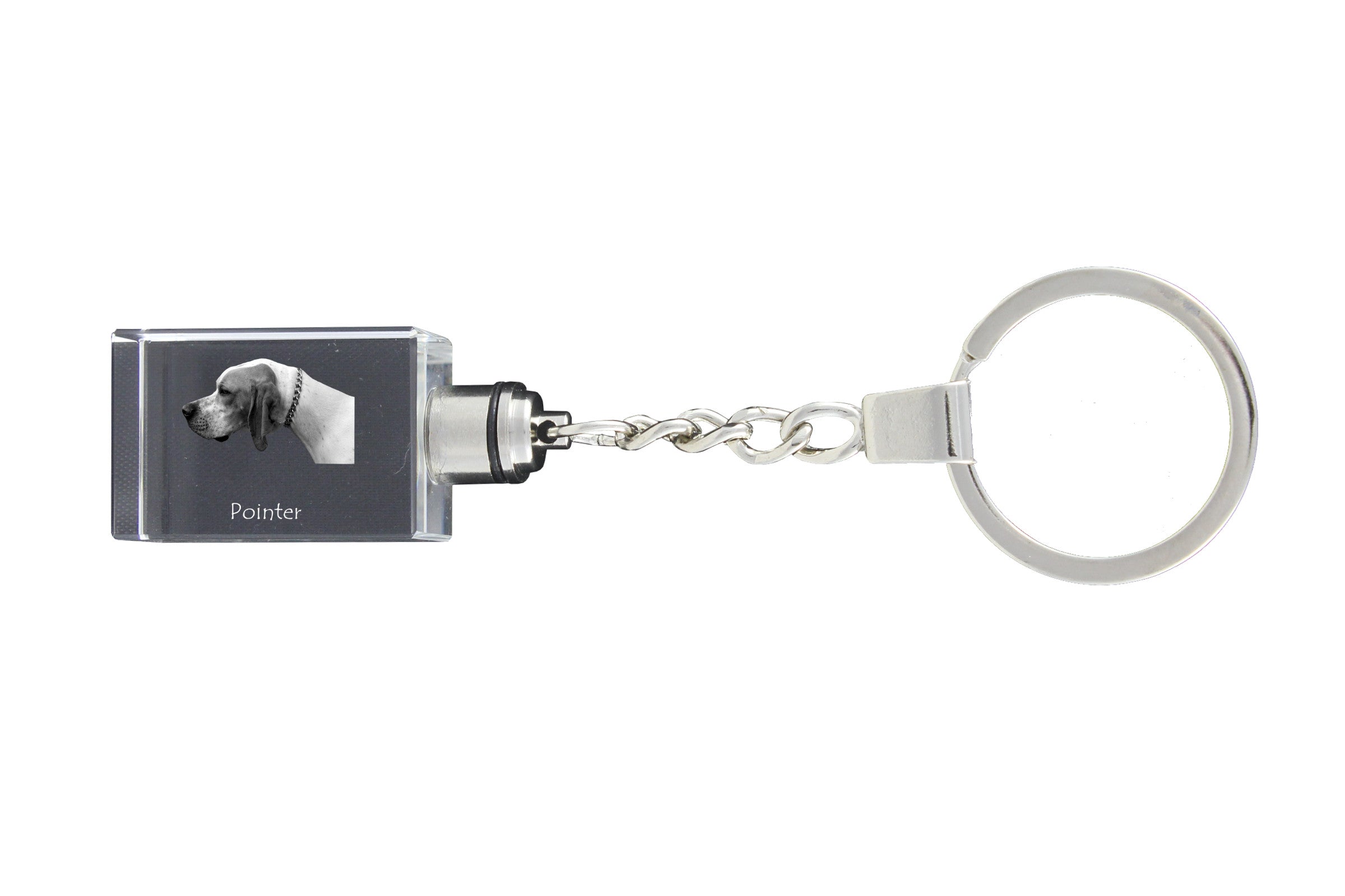 English Pointer I - Crystal key ring with dog photo, illuminated key ring, unique gift by Art-Dog brand