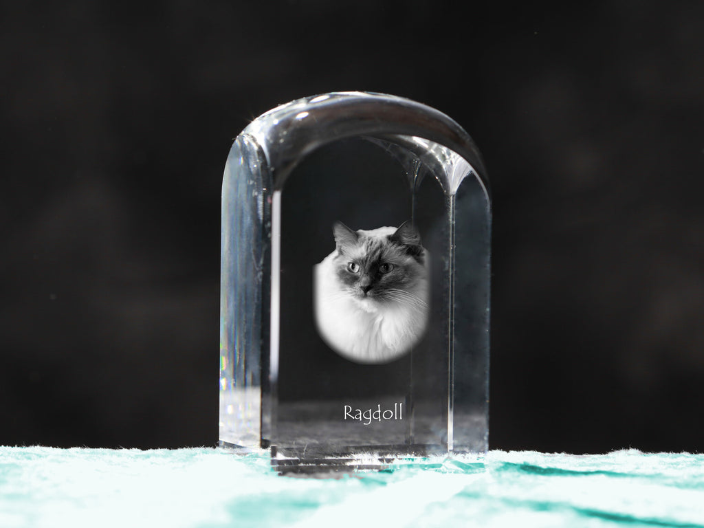 Ragdoll - crystal cube with a photo, photo of a cat in crystal, cubic paperweight from Art-Dog brand