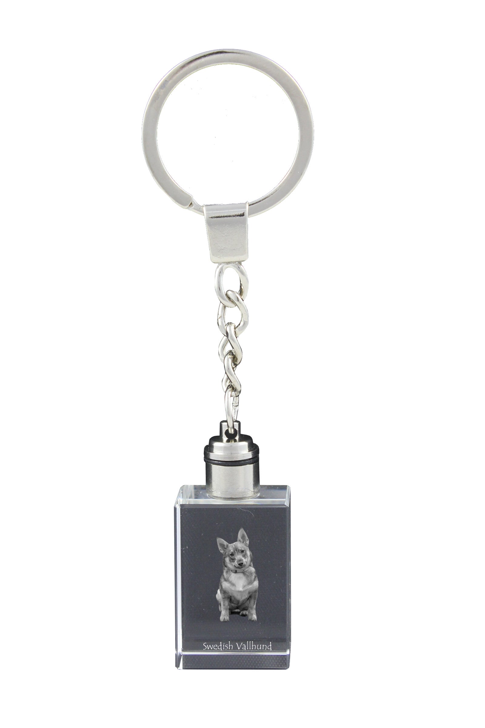 Swedish Vallhund, Swedish Cattle Dog, Swedish Shepherd - Crystal key ring with dog photo, illuminated key ring, unique gift by Art-Dog brand