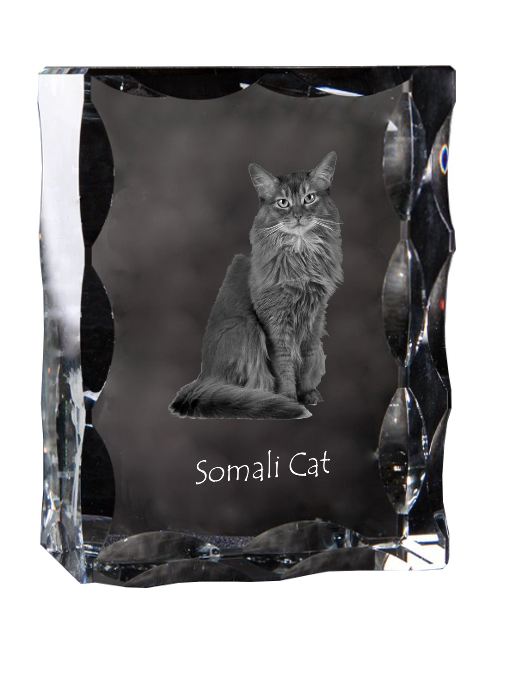 Somali - crystal with a cat picture, glass statuette with a picture, unique frame with a picture from Art-Dog brand