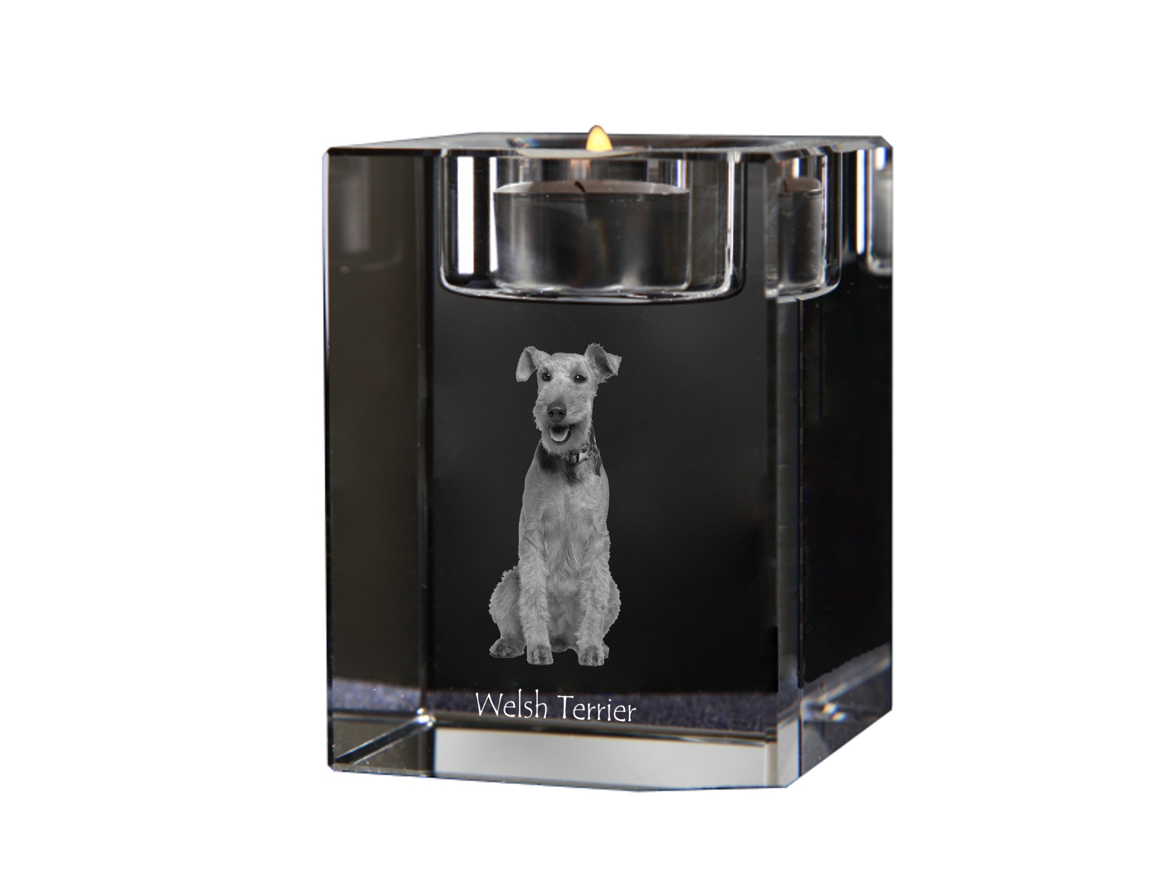 Welsh Terrier, Welshie, Daeargi Cymreig - Candle holder with dog photo, crystal tealight holder, personalised gift by Art-Dog brand