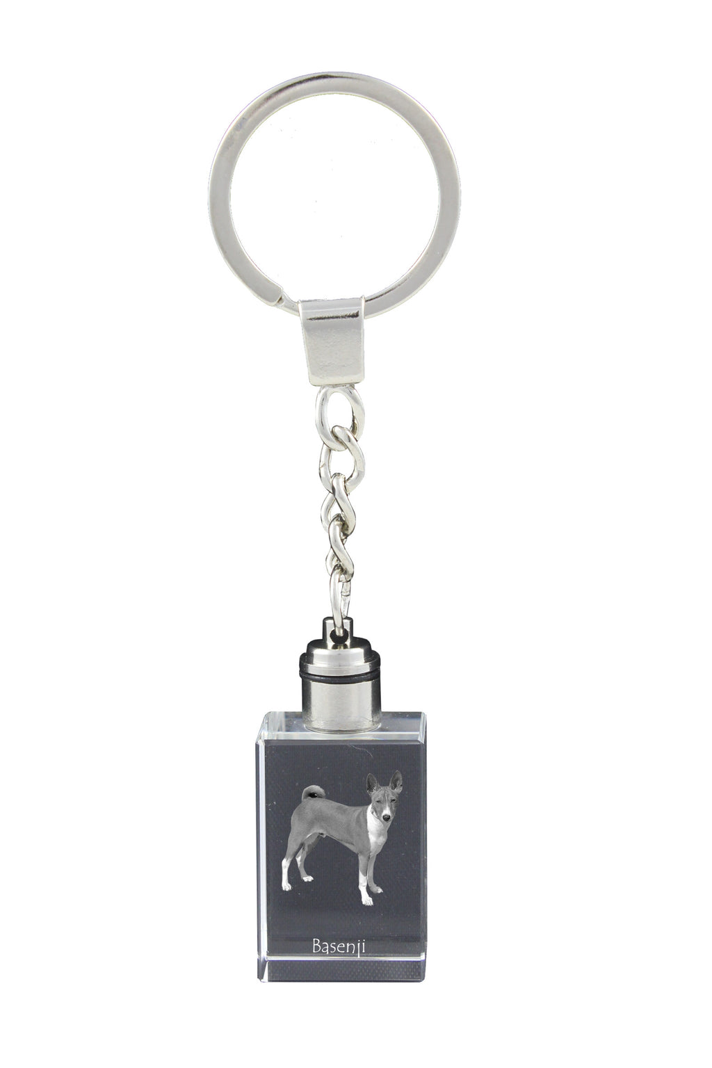 Basenji, African bush dog, Congo dog - Crystal key ring with dog photo, illuminated key ring, unique gift by Art-Dog brand