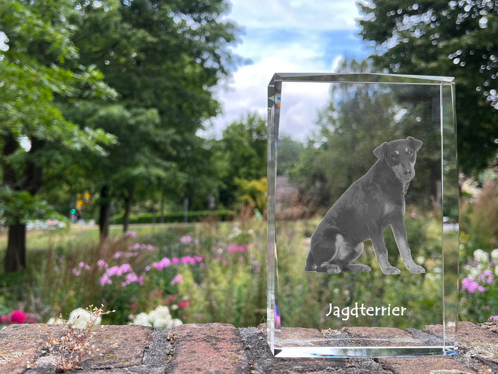 Jagdterrier - crystal with a picture of a dog, photo in glass, modern exhibition of Art-Dog brand photo