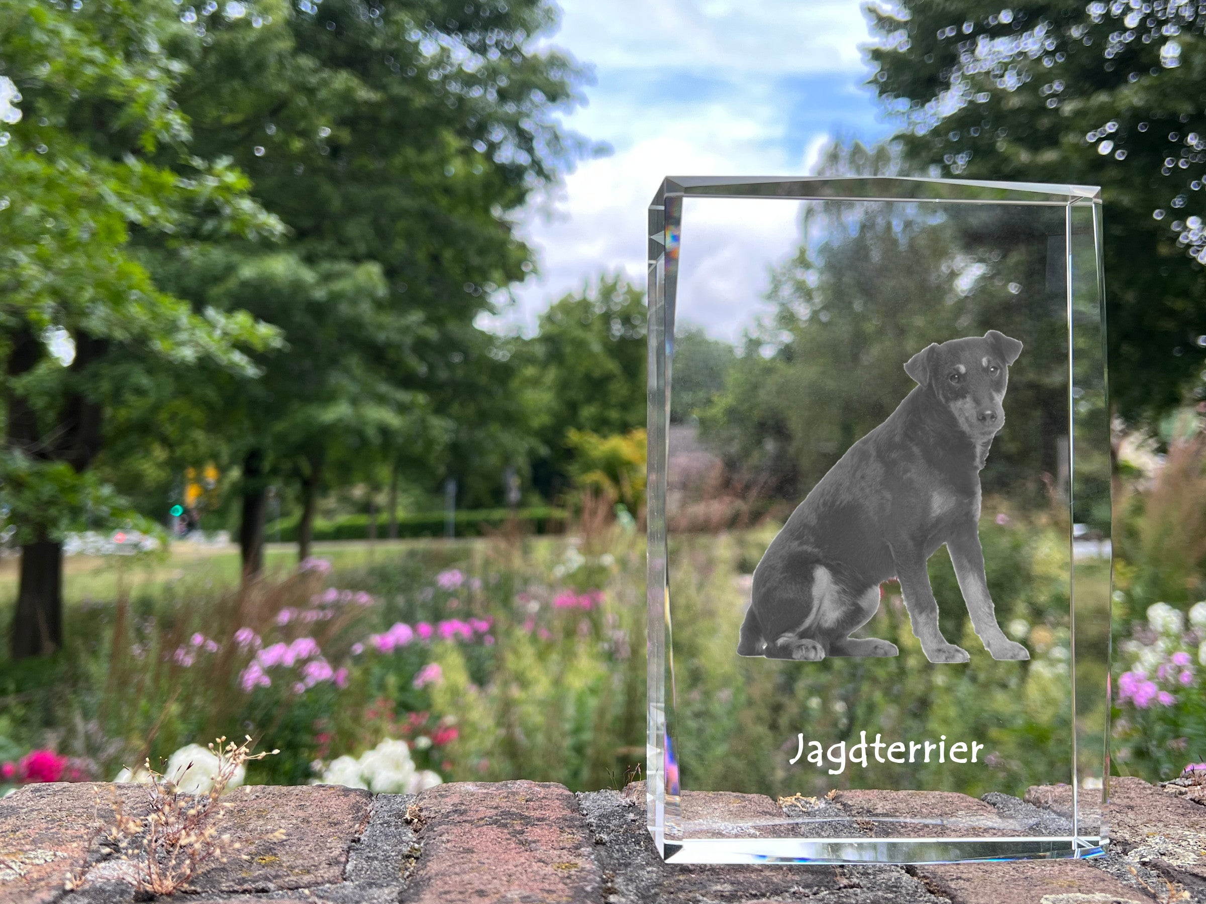 Jagdterrier - crystal with a picture of a dog, photo in glass, modern exhibition of Art-Dog brand photo