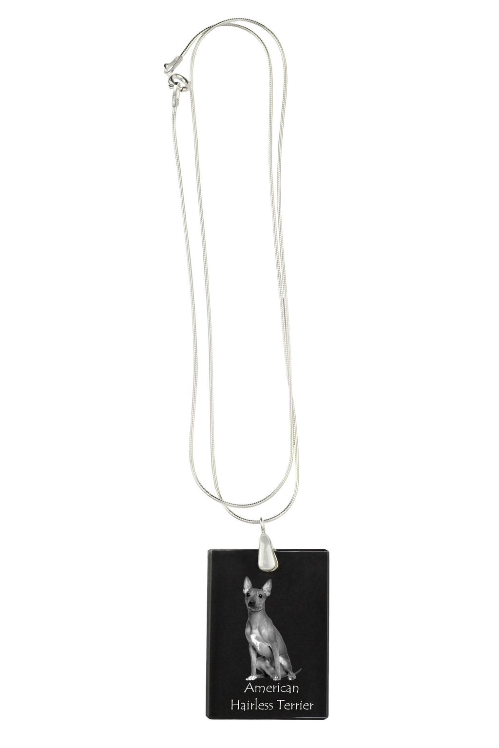 American Hairless Terrier - Crystal pendant with dog, silver necklace with photo, personalised pendant by Art-Dog brand