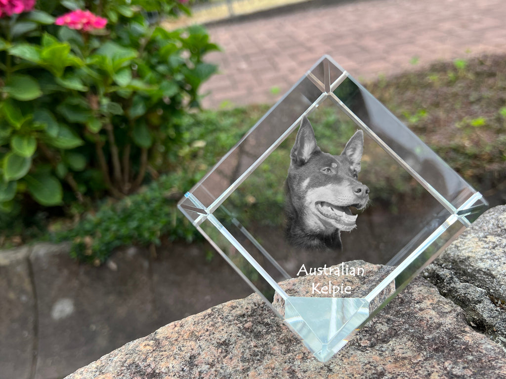 Australian Kelpie, Barb, Farmer Dog - crystal cube with a photo, photo of a horse in crystal, cubic paperweight from Art-Dog brand