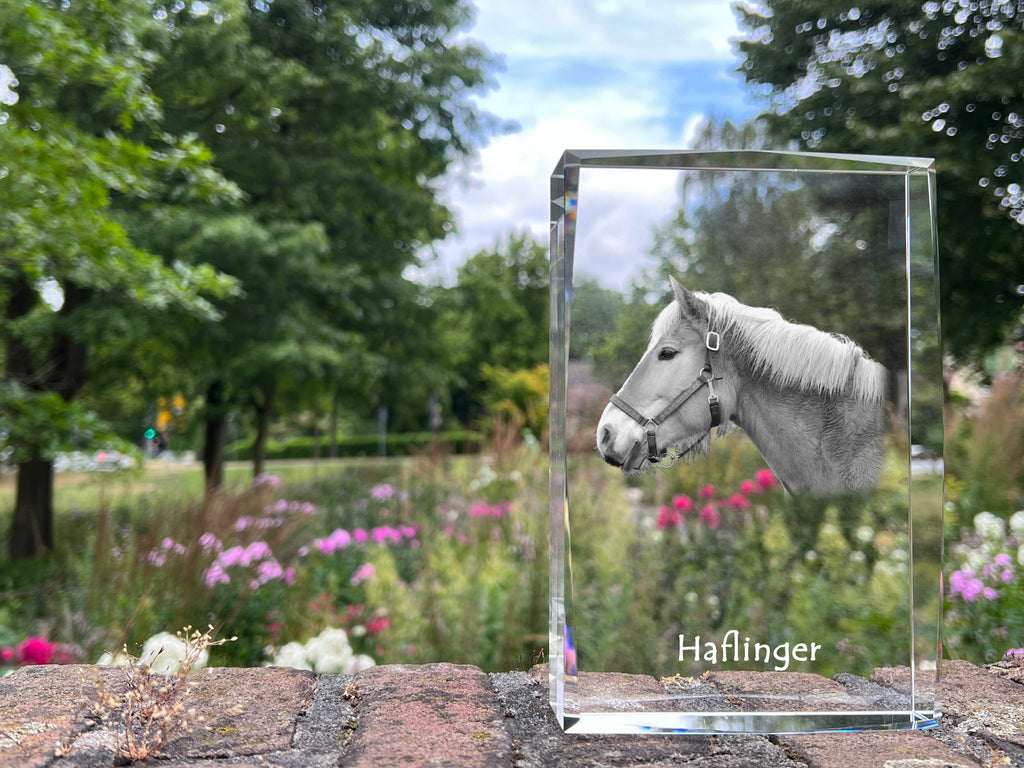 Haflinger - crystal with a picture of a horse, photo in glass, modern exhibition of Art-Dog brand photo
