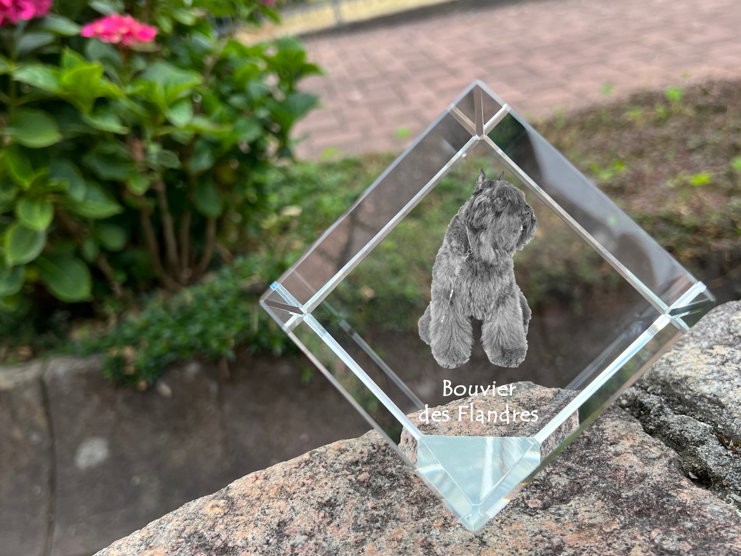 Bouvier des Flandres, Flanders Cattle Dog - crystal cube with a photo, photo of a horse in crystal, cubic paperweight from Art-Dog brand