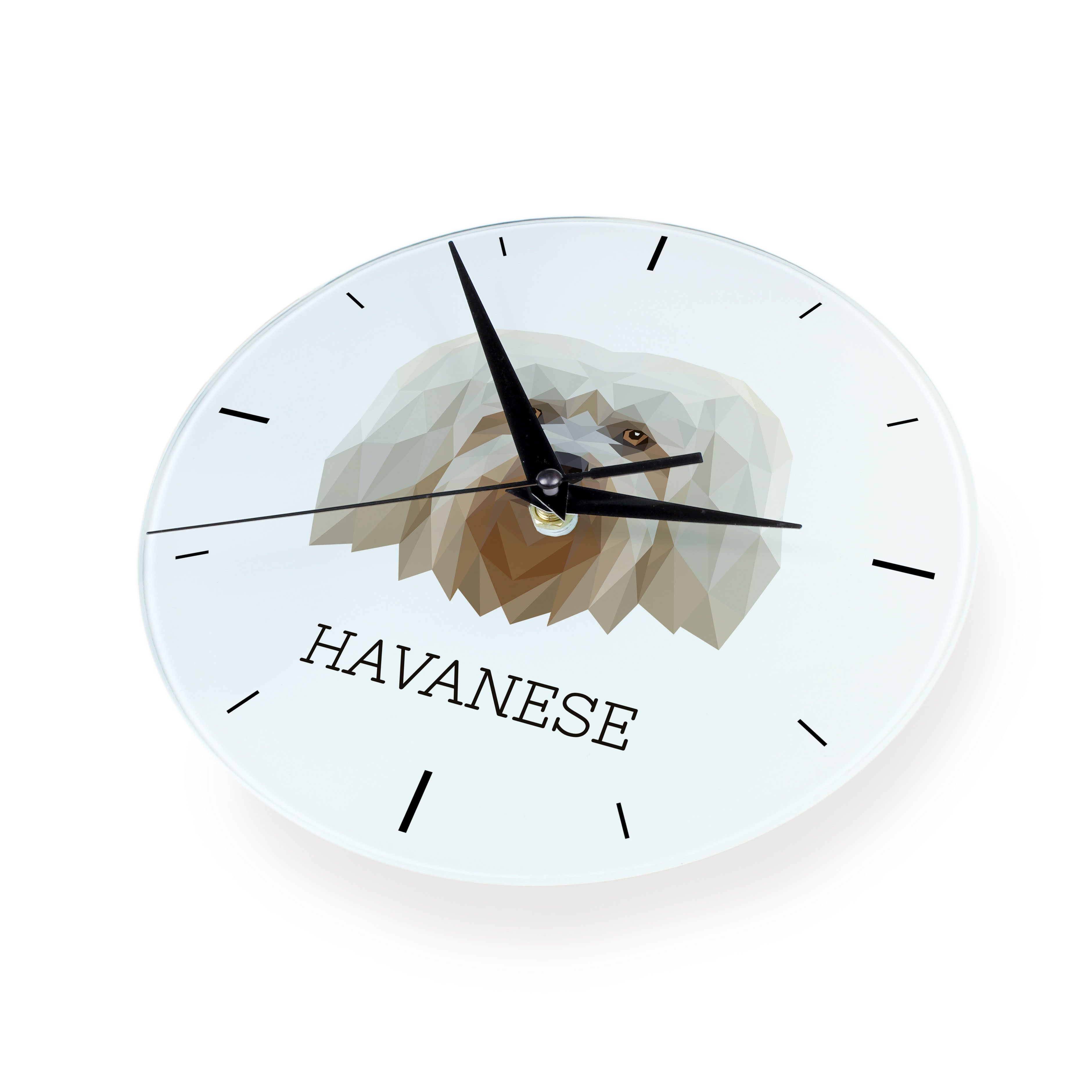 Havanese, Havanese Cuban Bichon, Bichón Havanés - geometric wall clock with a picture and the brand name Art-Dog