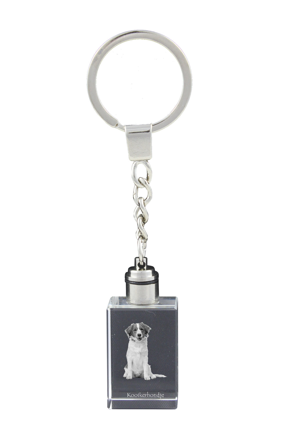 Kooikerhondje - Crystal key ring with dog photo, illuminated key ring, unique gift by Art-Dog brand