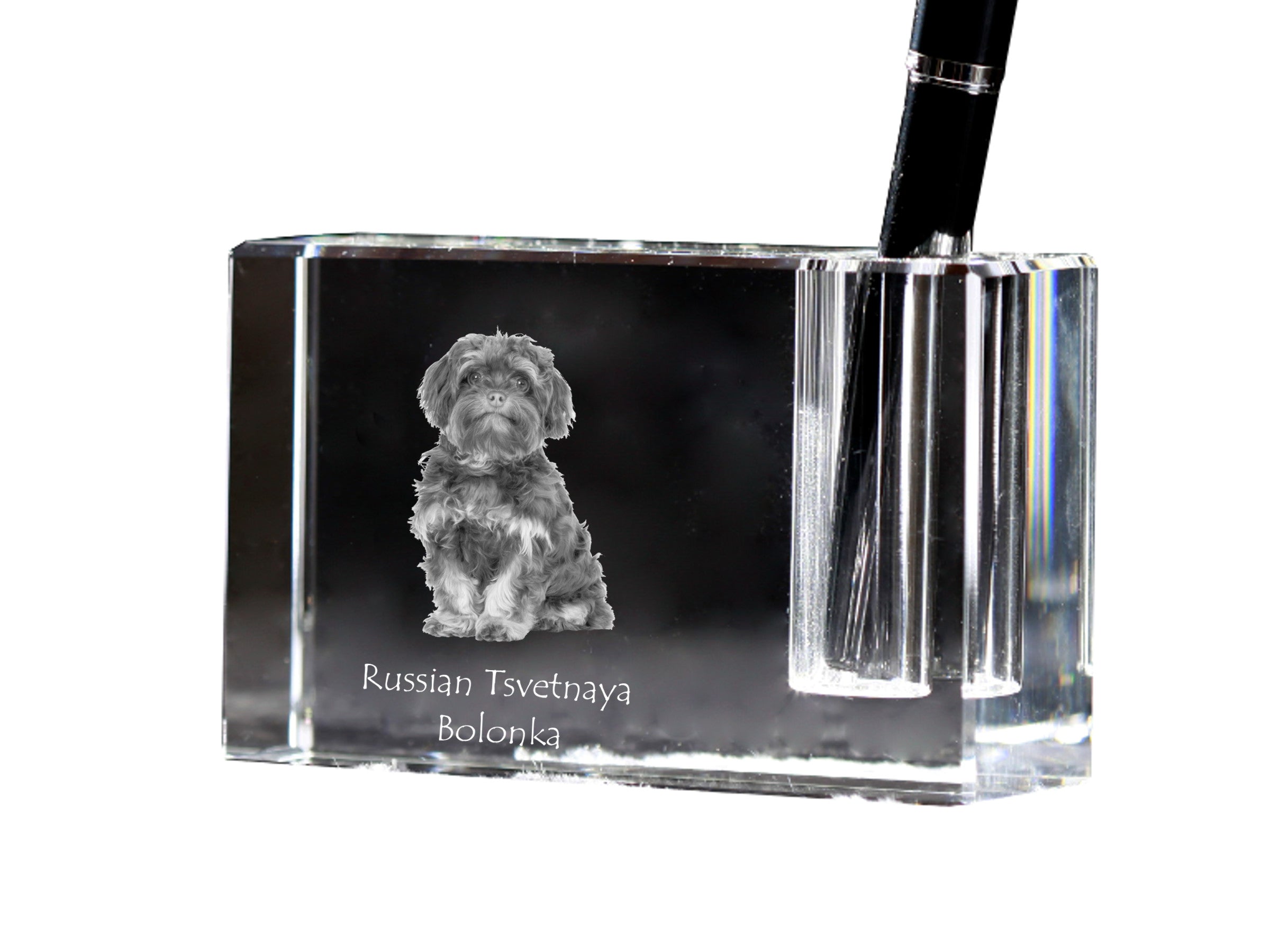 Bolonka, Russian Tsvetnaya Bolonka - Pen stand, crystal organiser with dog photo, unique desk decoration by Art-Dog brand
