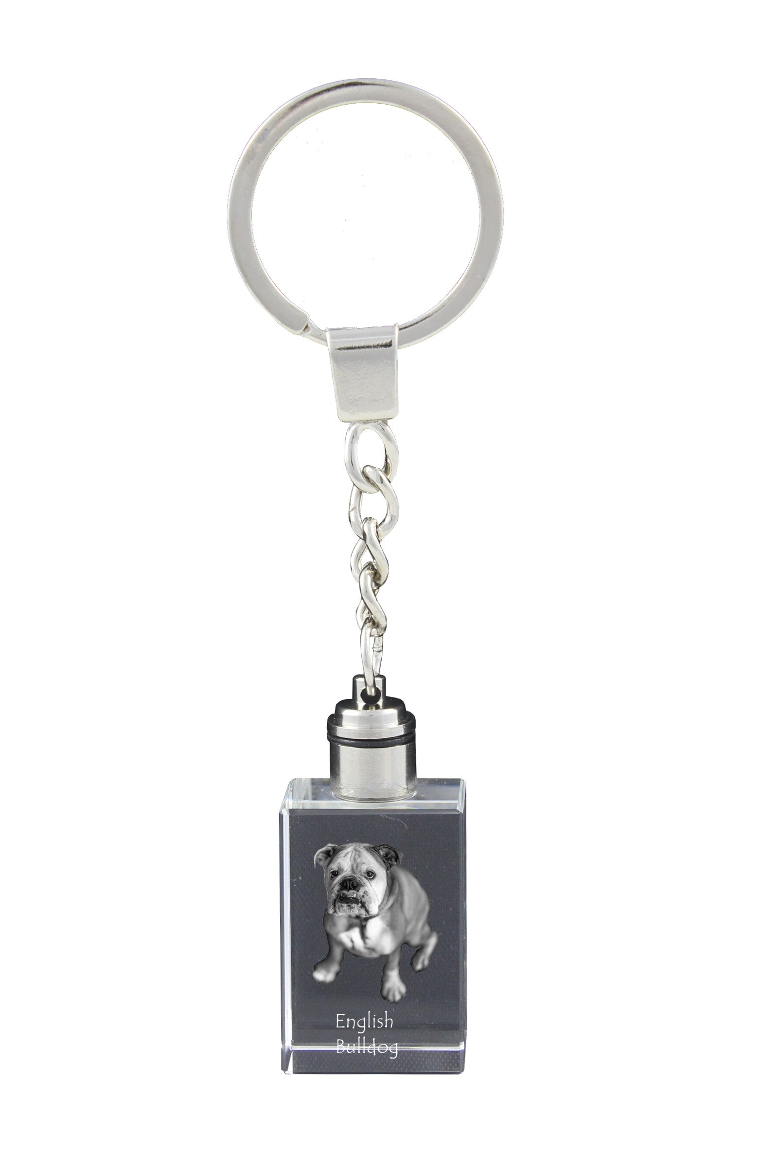Bulldog, English Bulldog, British Bulldog - Crystal key ring with dog photo, illuminated key ring, unique gift by Art-Dog brand