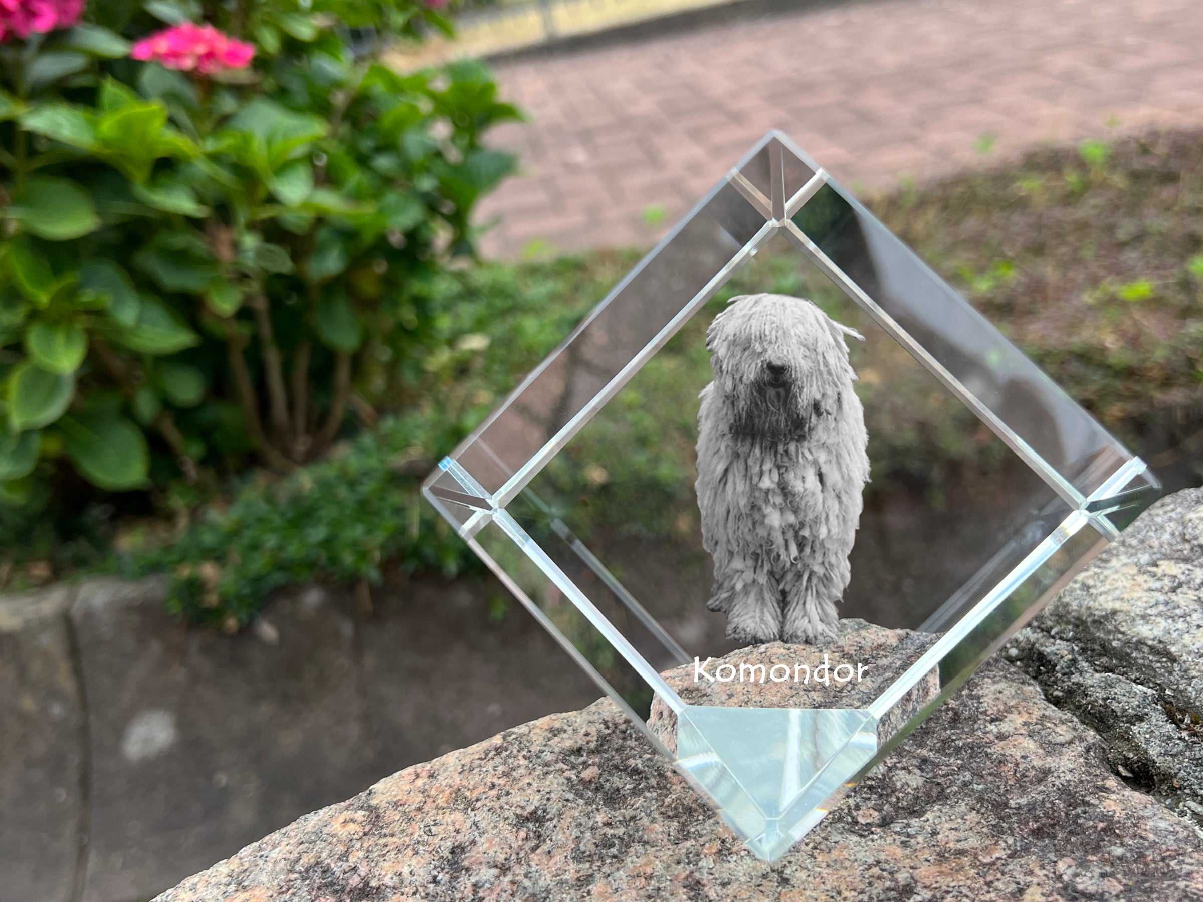 Komondor, Hungarian sheepdog, Mop Dog - crystal cube with a photo, photo of a horse in crystal, cubic paperweight from Art-Dog brand