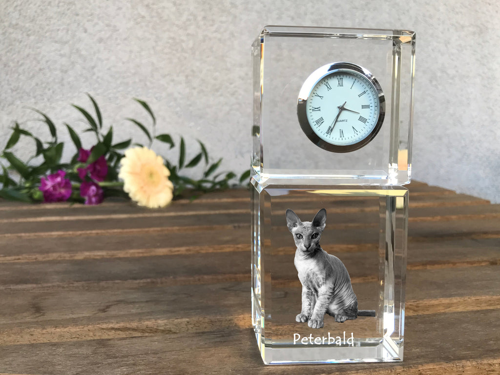 Peterbald - crystal clock with a photo, photo of a cat in crystal, personalized desk clock by Art-Dog brand