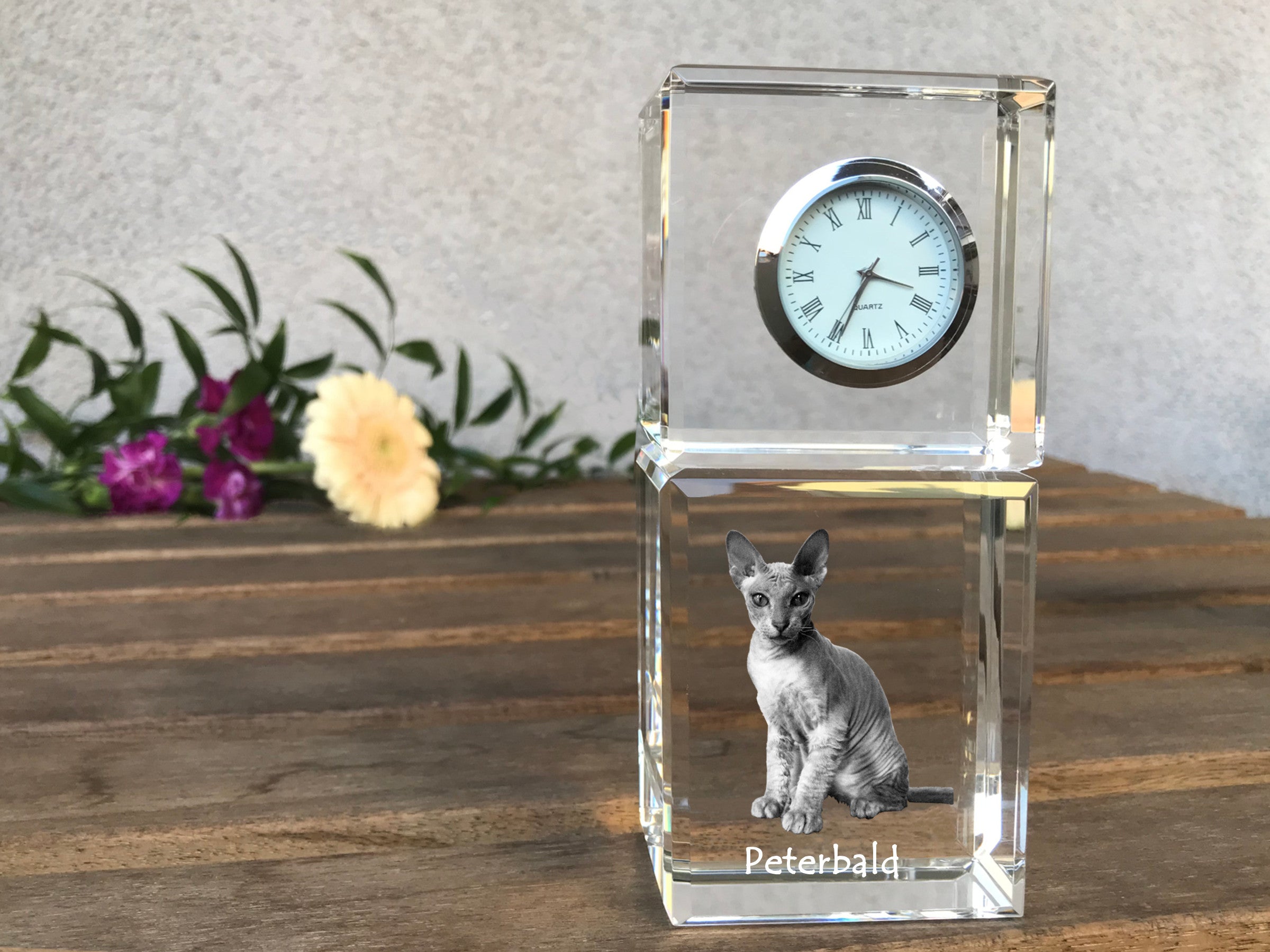 Peterbald - crystal clock with a photo, photo of a cat in crystal, personalized desk clock by Art-Dog brand