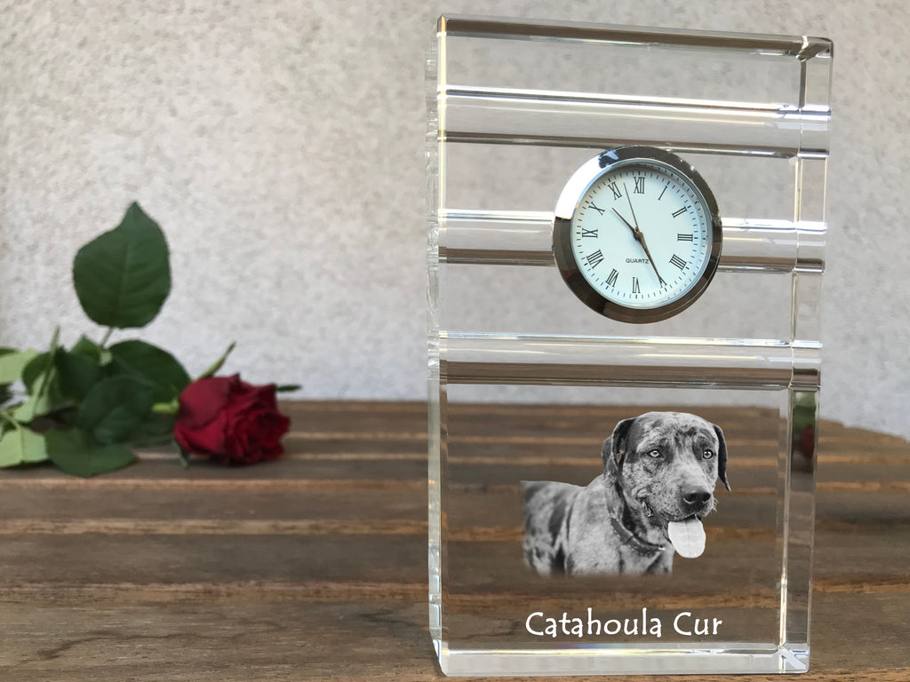 Catahoula Leopard Dog, Catahoula Cur - glass clock with a photo, photo of a dog in crystal, personalized standing office clock by Art-Dog brand