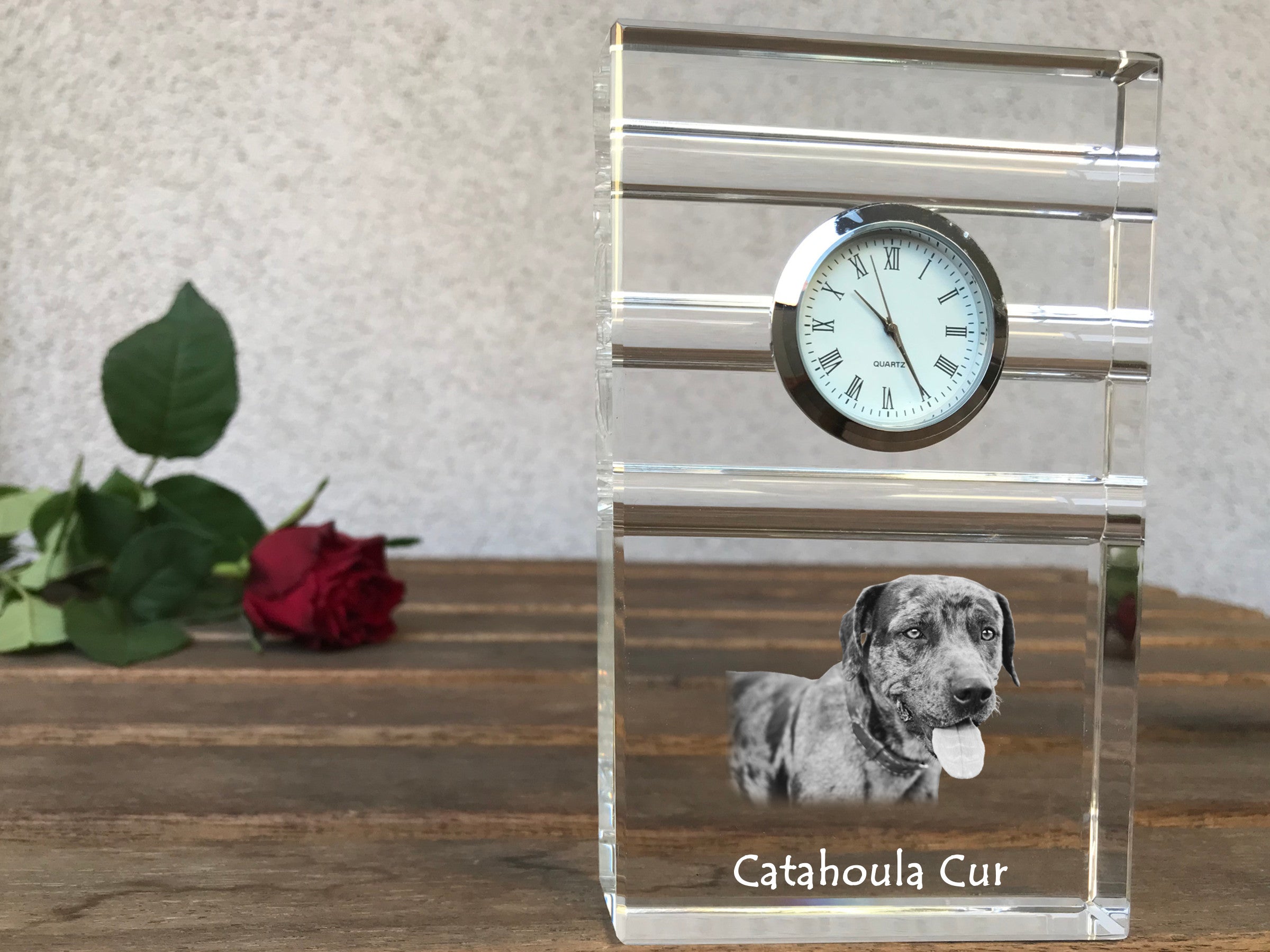 Catahoula Leopard Dog, Catahoula Cur - glass clock with a photo, photo of a dog in crystal, personalized standing office clock by Art-Dog brand