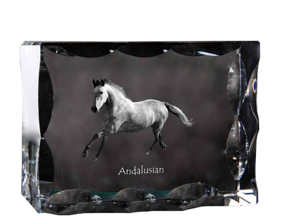 Andalusian - kryształ ze zdjęciem konia, szklana statuetka ze zdjęciem, wyjątkowa ramka ze zdjęciem marki Art-Dog