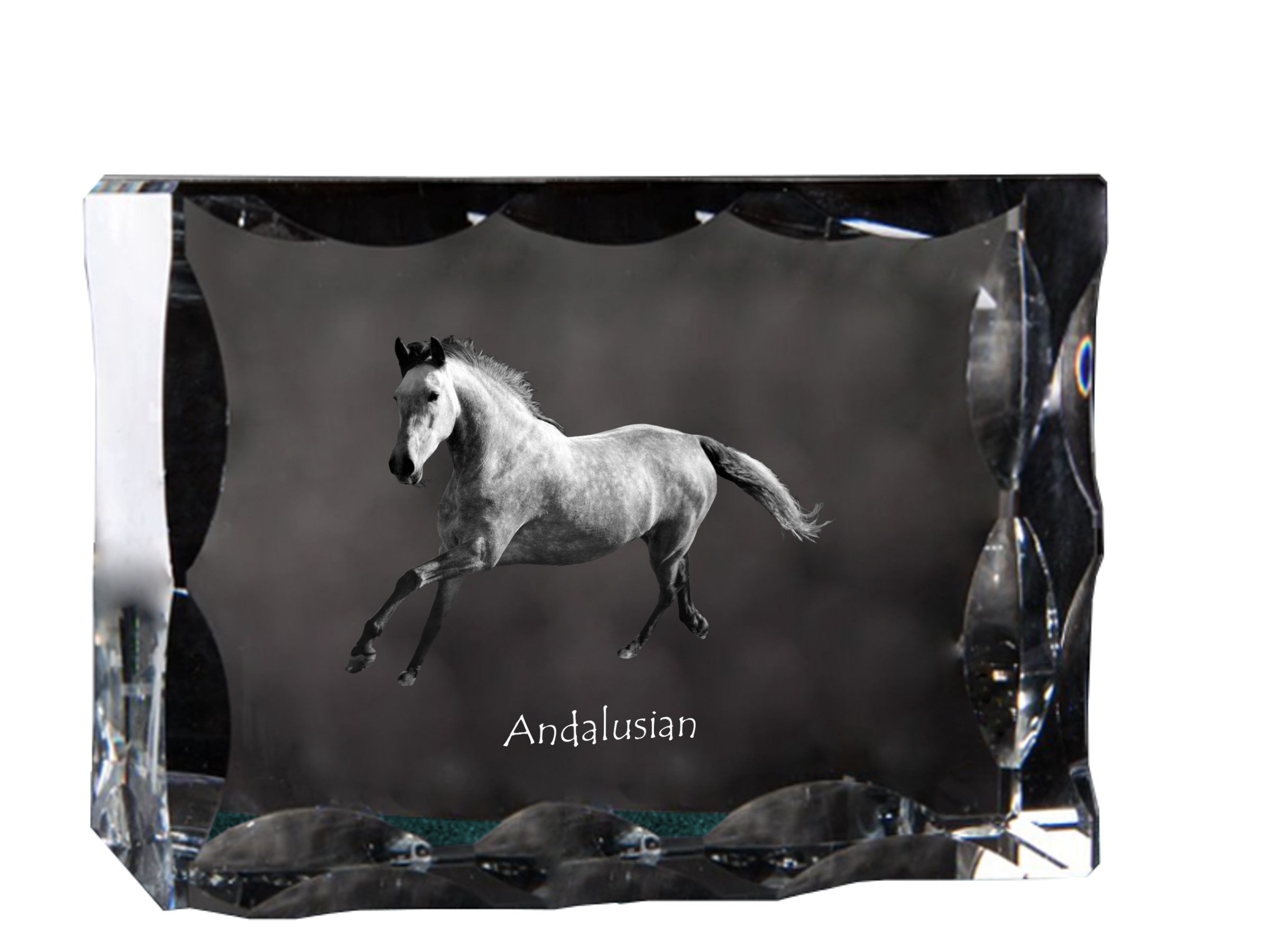 Andalusian - kryształ ze zdjęciem konia, szklana statuetka ze zdjęciem, wyjątkowa ramka ze zdjęciem marki Art-Dog