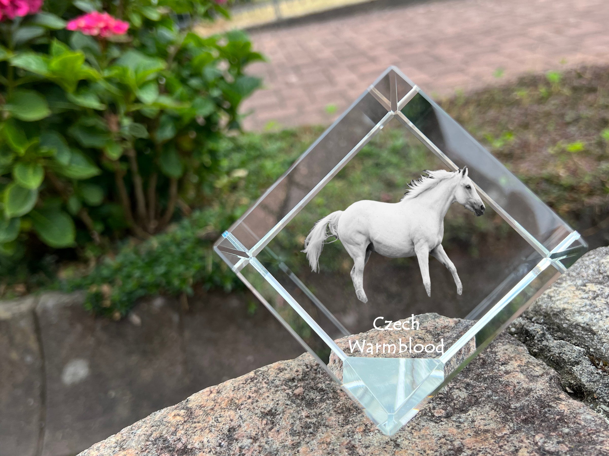 Czech Warmblood - crystal cube with a horse picture, horse picture in crystal, cubic paperweight from Art-Dog brand