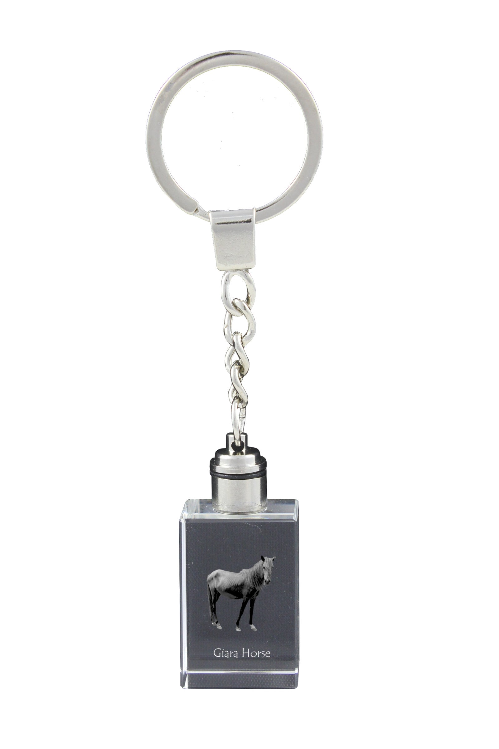 Giara Horse - Crystal pendant with photo of a horse, illuminated pendant, unique gift by Art-Dog brand