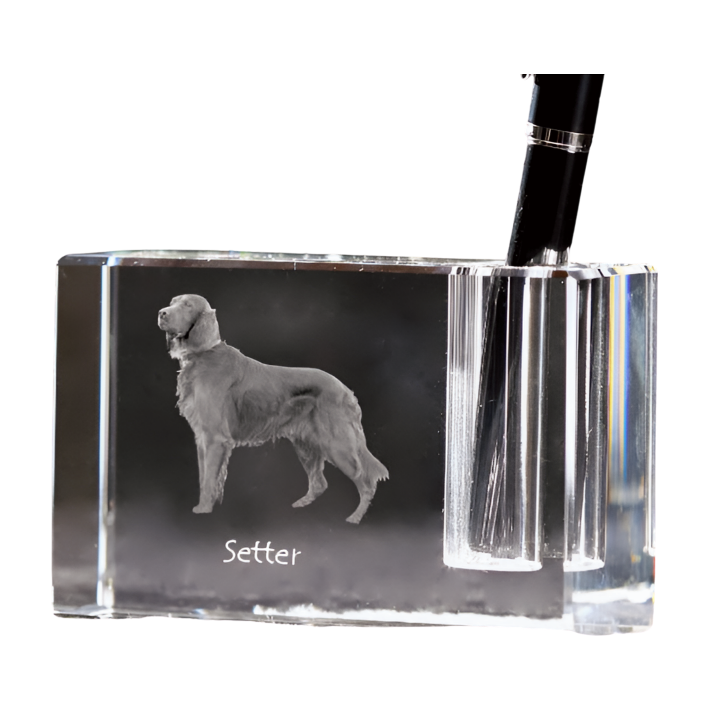 English setter, Lawerack, Laverack I - Pen stand, crystal organiser with dog photo, unique desk decoration by Art-Dog brand