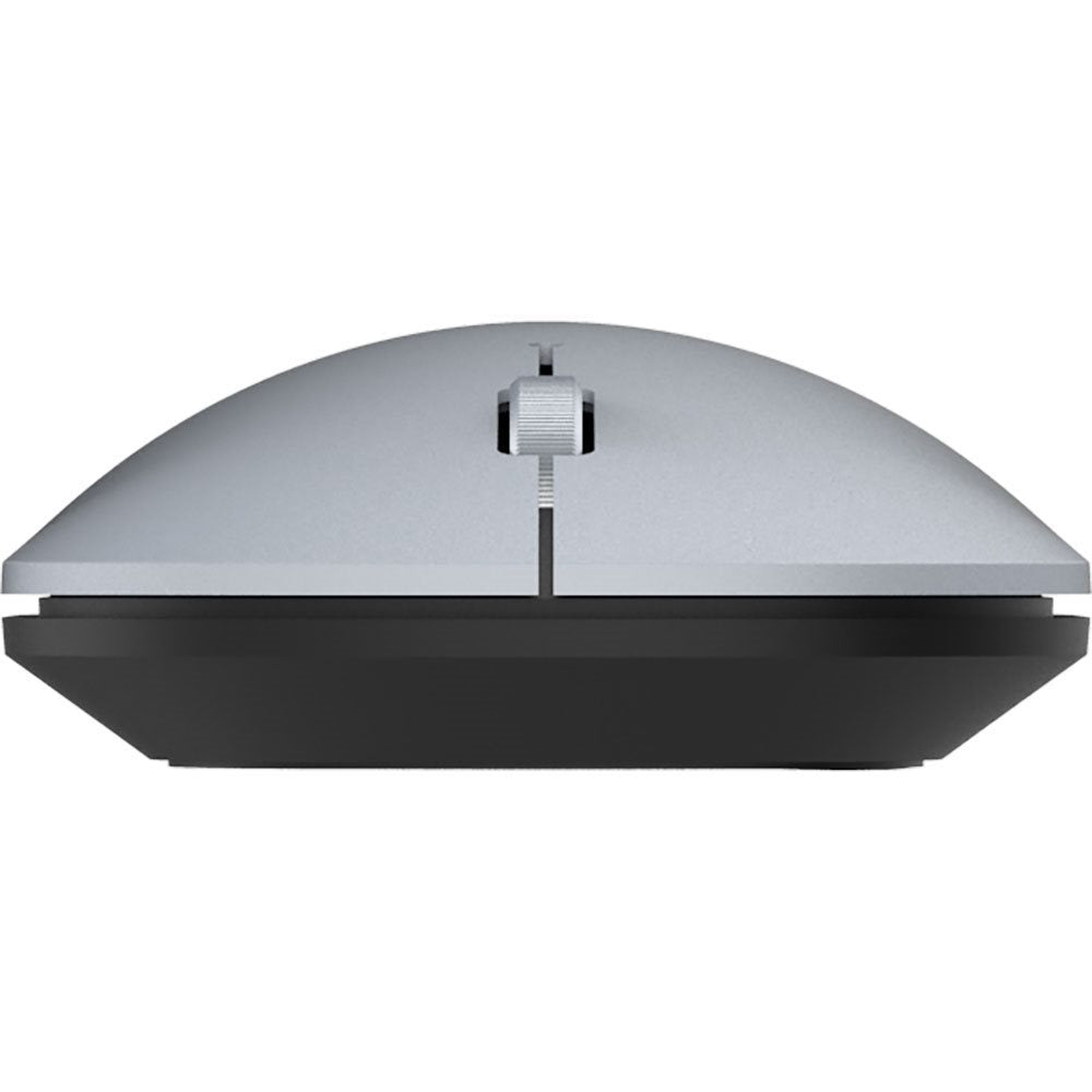 TERRA NBM1000S souris Ambidextre RF sans fil + Bluetooth Optique 4000 DPI
