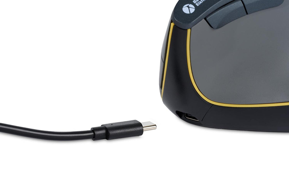 BakkerElkhuizen FastForward souris Bureau Droitier RF Wireless + Bluetooth + USB Type-C Optique 500 DPI