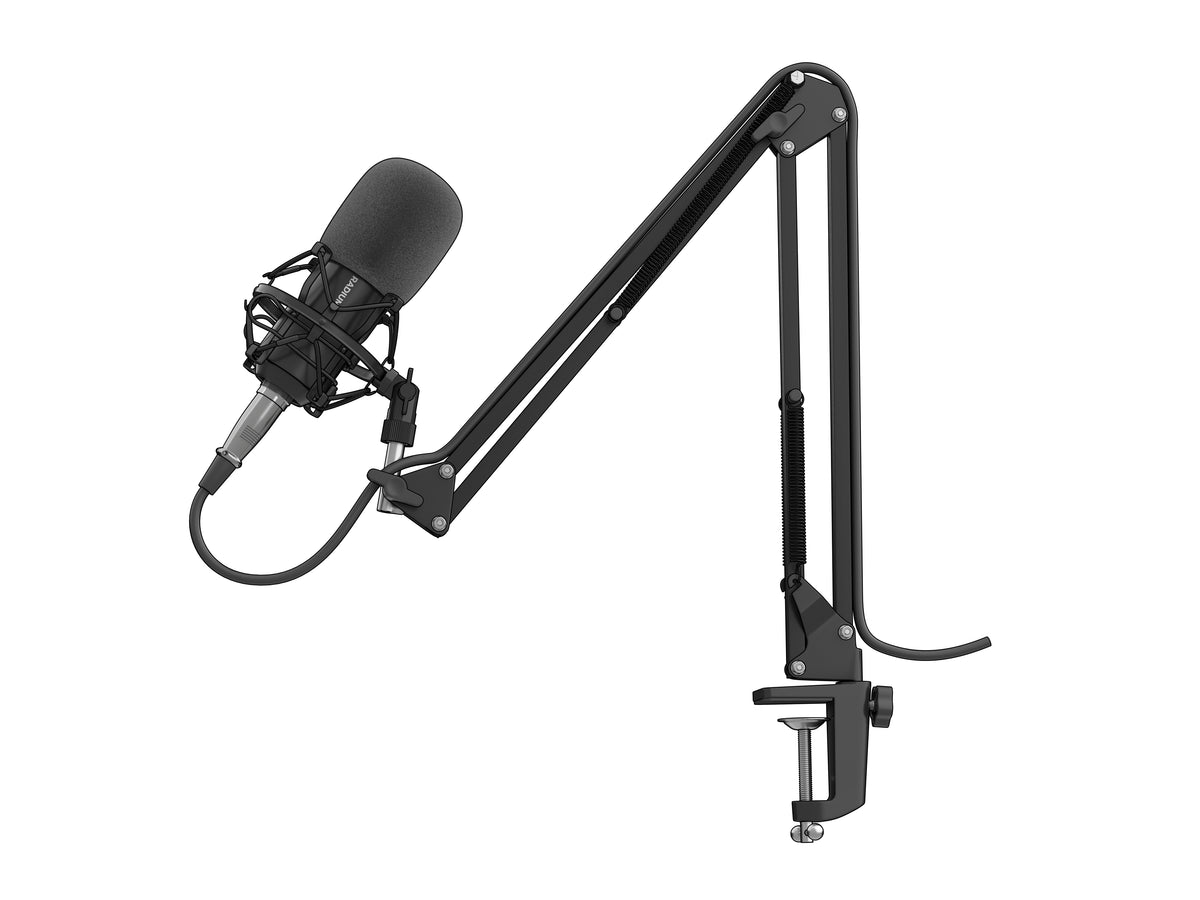 Microphone de Studio Radium 300 XLR, Noir