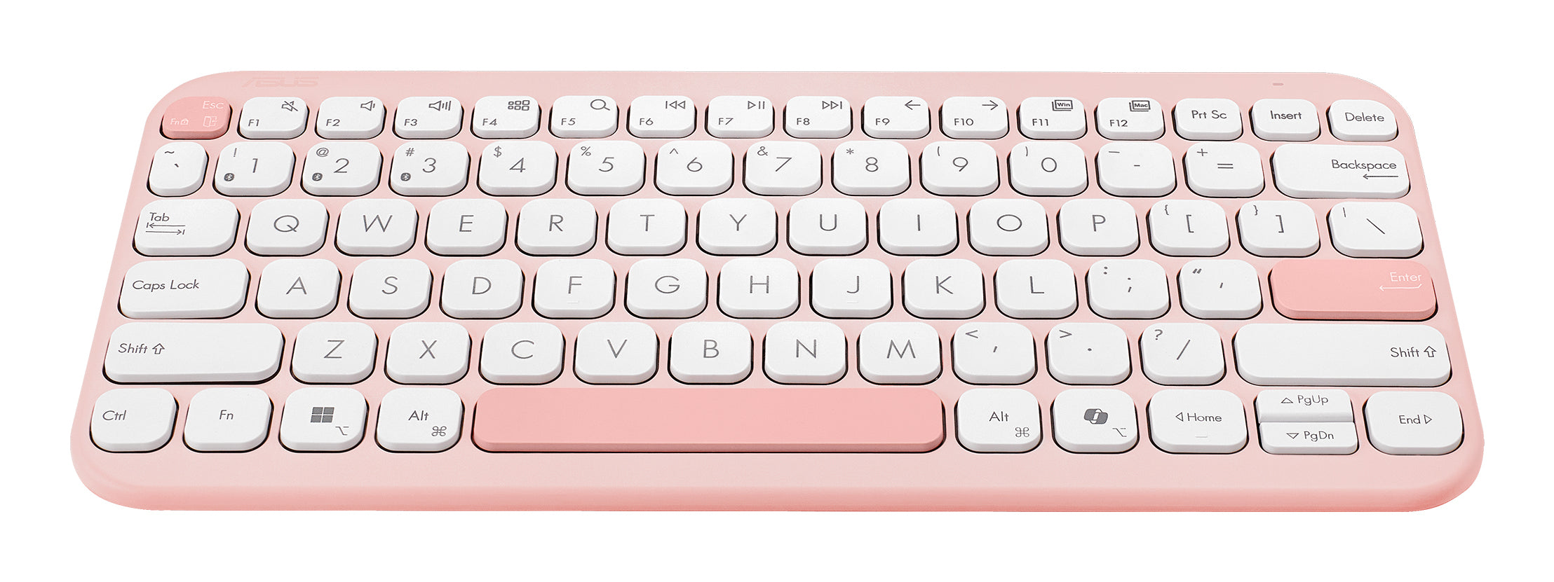 ASUS Marshmallow Keyboard KW100 clavier Maison Bluetooth QWERTZ Allemand Rose